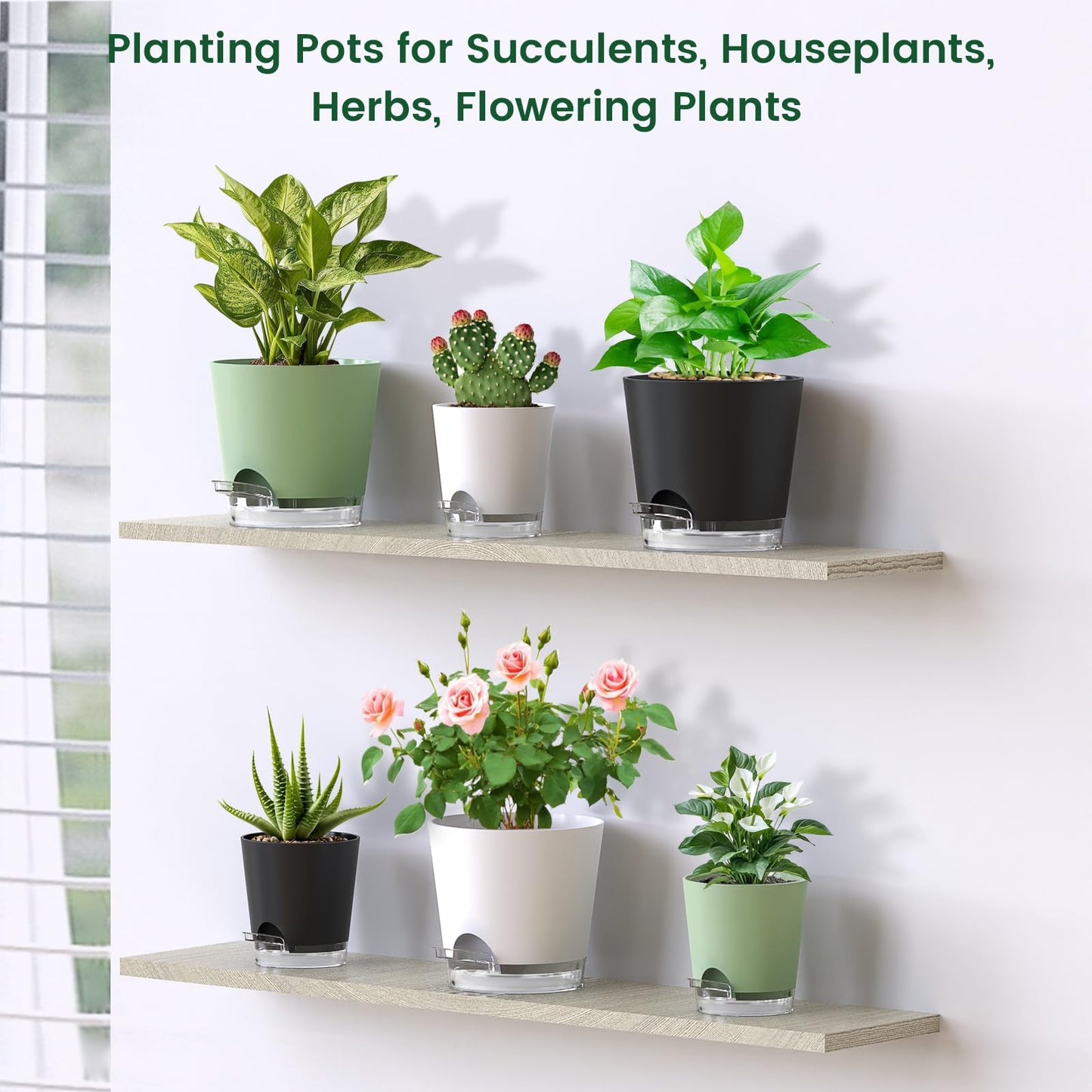 Meowell 6 inch Self Watering Pots for Indoor Outdoor Plants, 6 Pack Flower Plant Pots with Drainage Holes and Clear Reservoirs, Visible Water Level, Plastic Planters with Wicking Rope, White