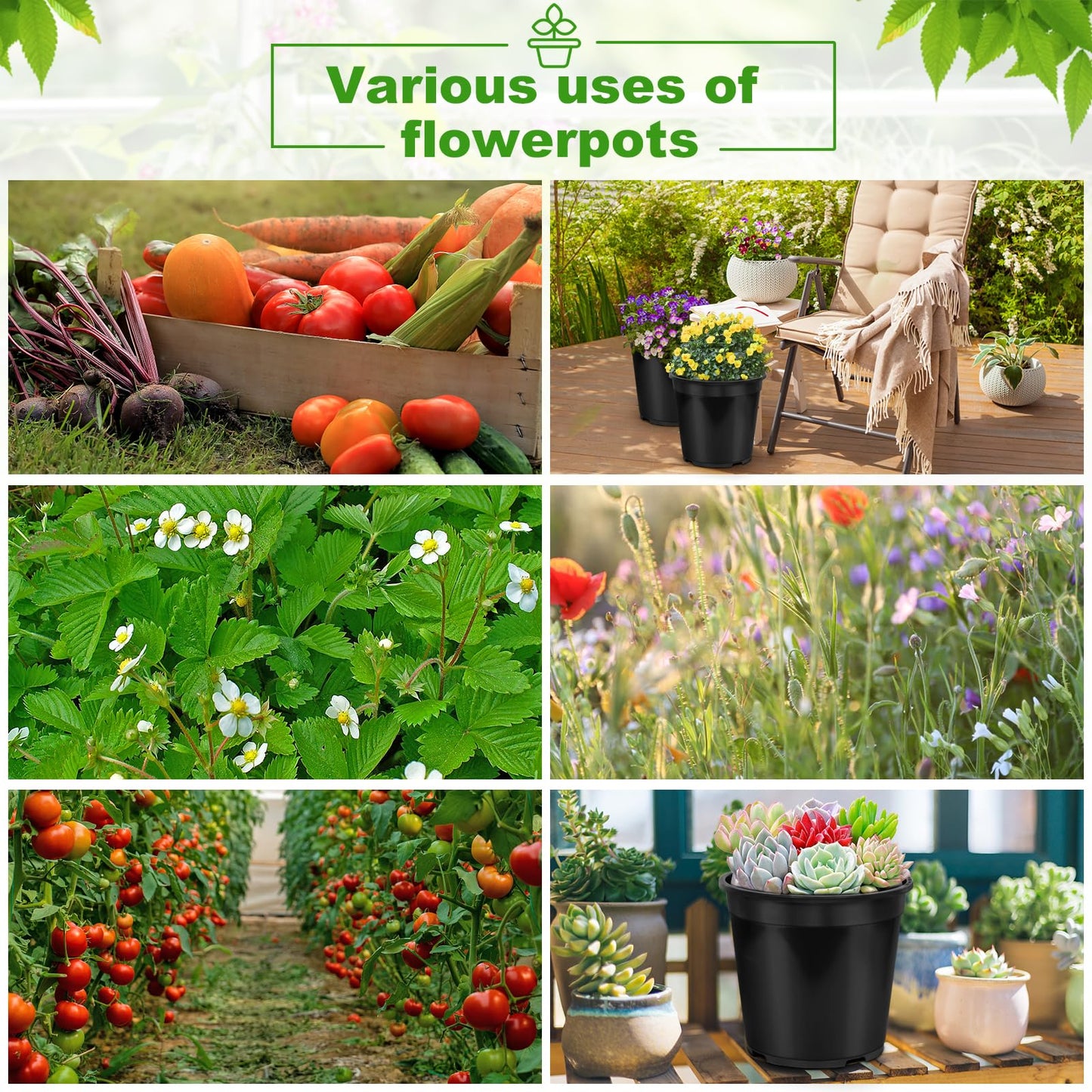 DUNPUTE 4pcs 10 Gallon Pots for Plants, 10 Gallon Plastic Nursery Pot with Drainage Holes, Planter Seedling Pots for Nursery Garden, Flowers, Succulent Outdoor Indoor (10 Gal- 4 Pack)