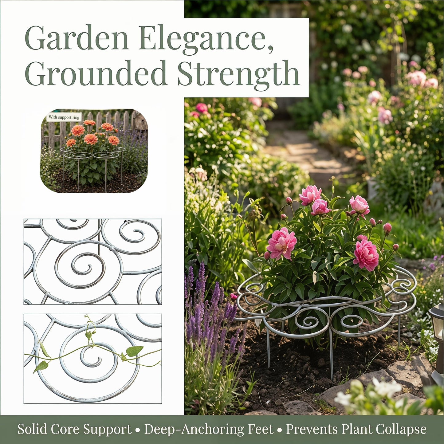 Peony Cages and Supports–Heavy Duty Metal Plant Support Ring for Garden, Grow Through Plant Support Stakes for Roses Hydrangeas, Outdoor Flower Cage with Weather-Resistant Iron Frame (1 pcs Large)