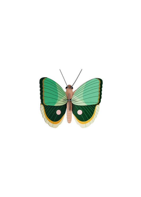 STUDIO ROOF, Wall Art Butterfly, Fern Striped Butterfly, Eco-Friendly & Creative Gift
