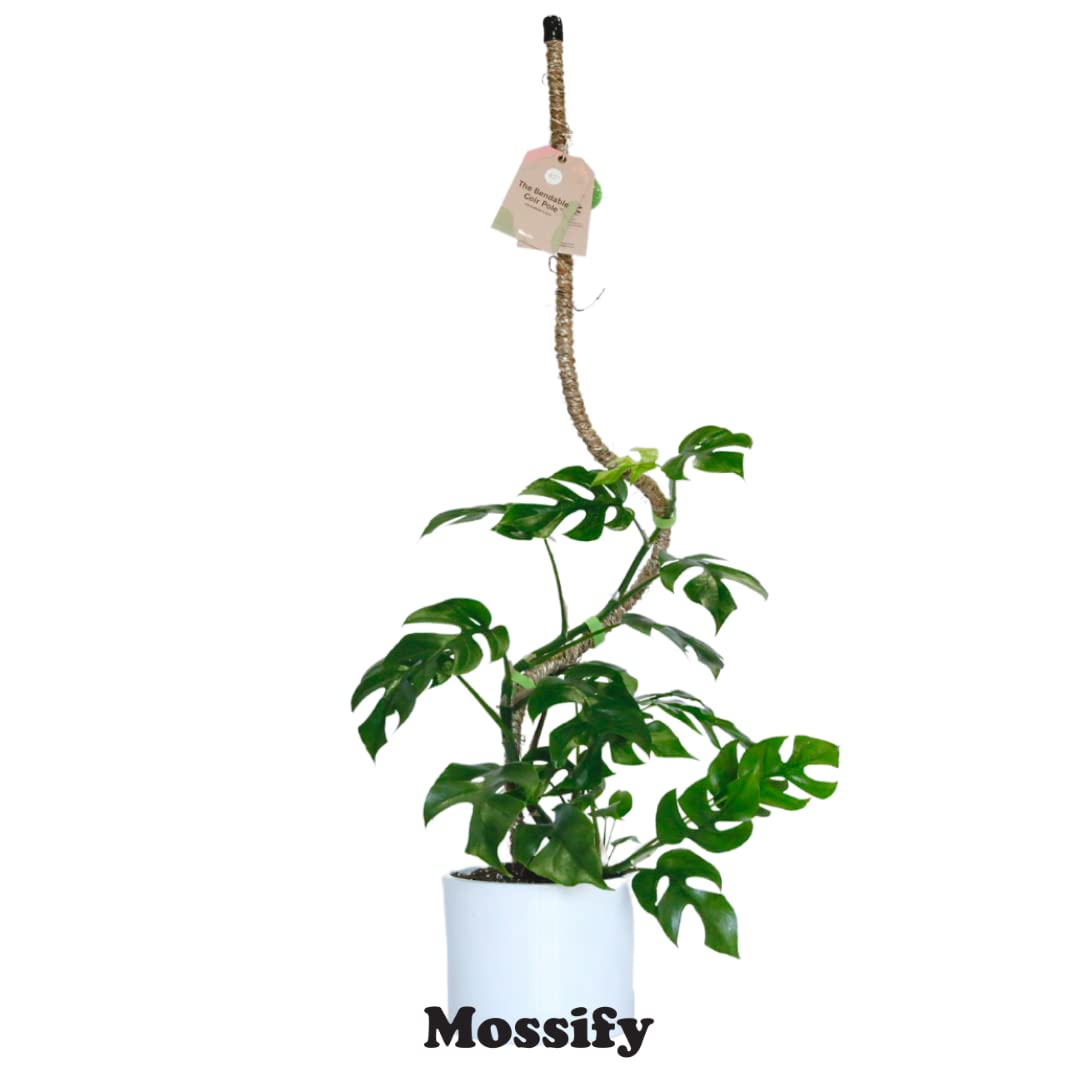 Mossify Bendable Coir Pole for Plants – 16” Premium Manila Coir Moss Pole Monstera Plant Support for Indoor & Outdoor Plant Climbing Support - Comes with Reusable Tape for Durable Plant Pole