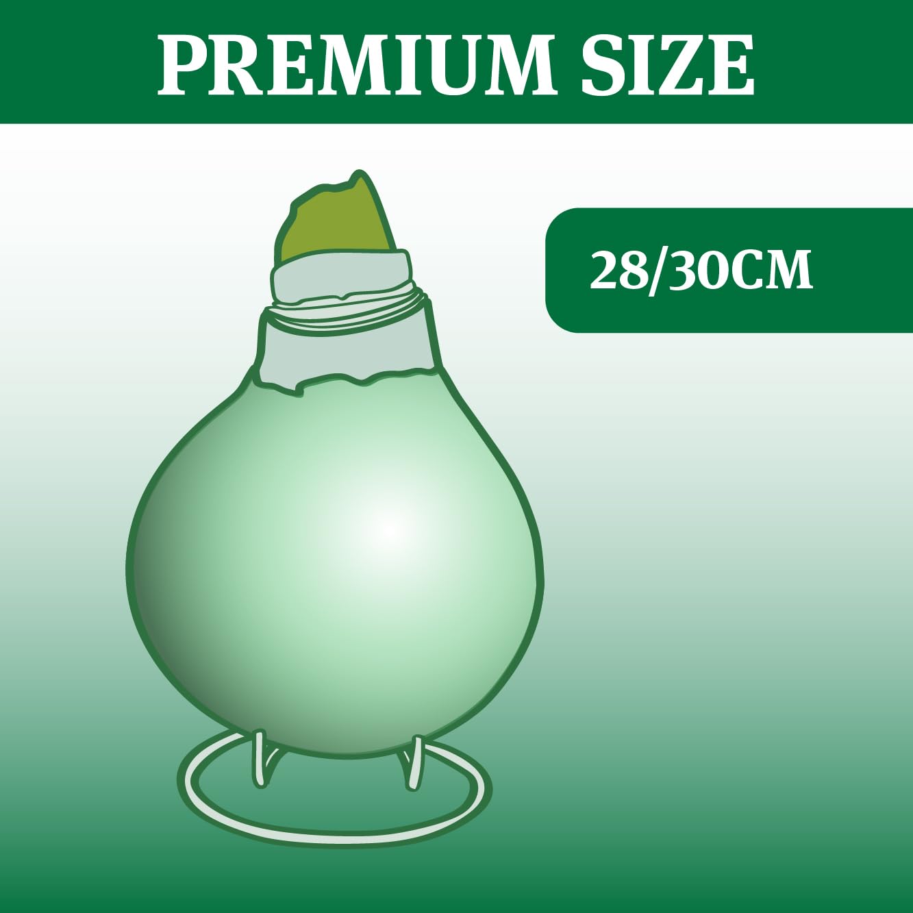 Robin's Egg Waxed Amaryllis Flower Bulb with Stand, Grow Real Blooming Indoor Spring Flowers, No Water Needed