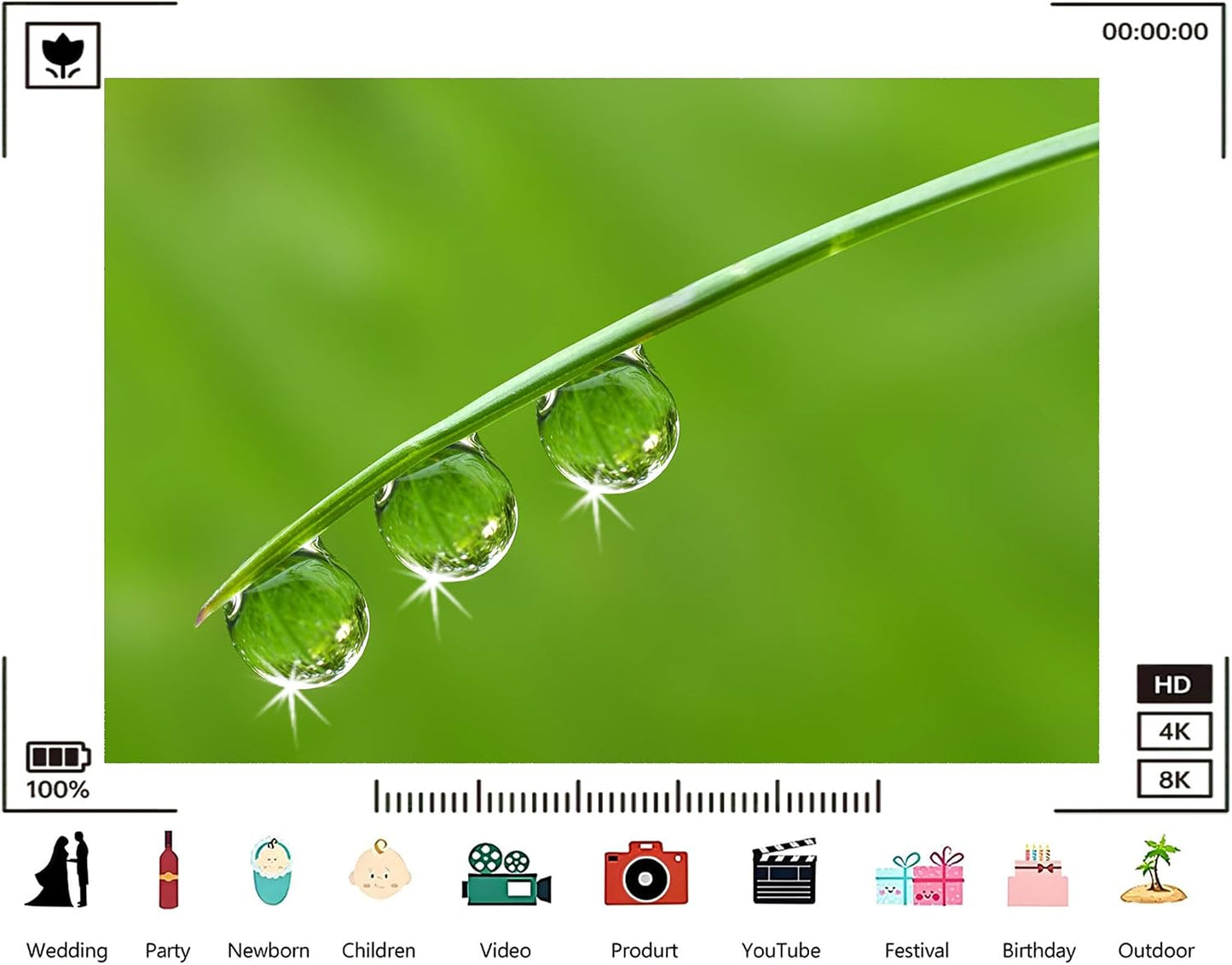 TryKid 6x6ft Green Dewdrop Grass Backdrop Sparkling Water Drop Blade Photography Background Fresh Spring Nature Event