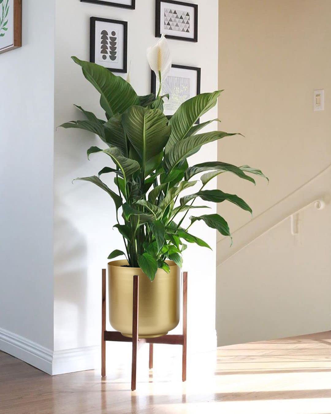Vixdonos Large Gold Planters Metal Aloe Brass-Tone Plant Pots Indoor Decorative Flower Pots with Drain Holes(8+7.1Inch)