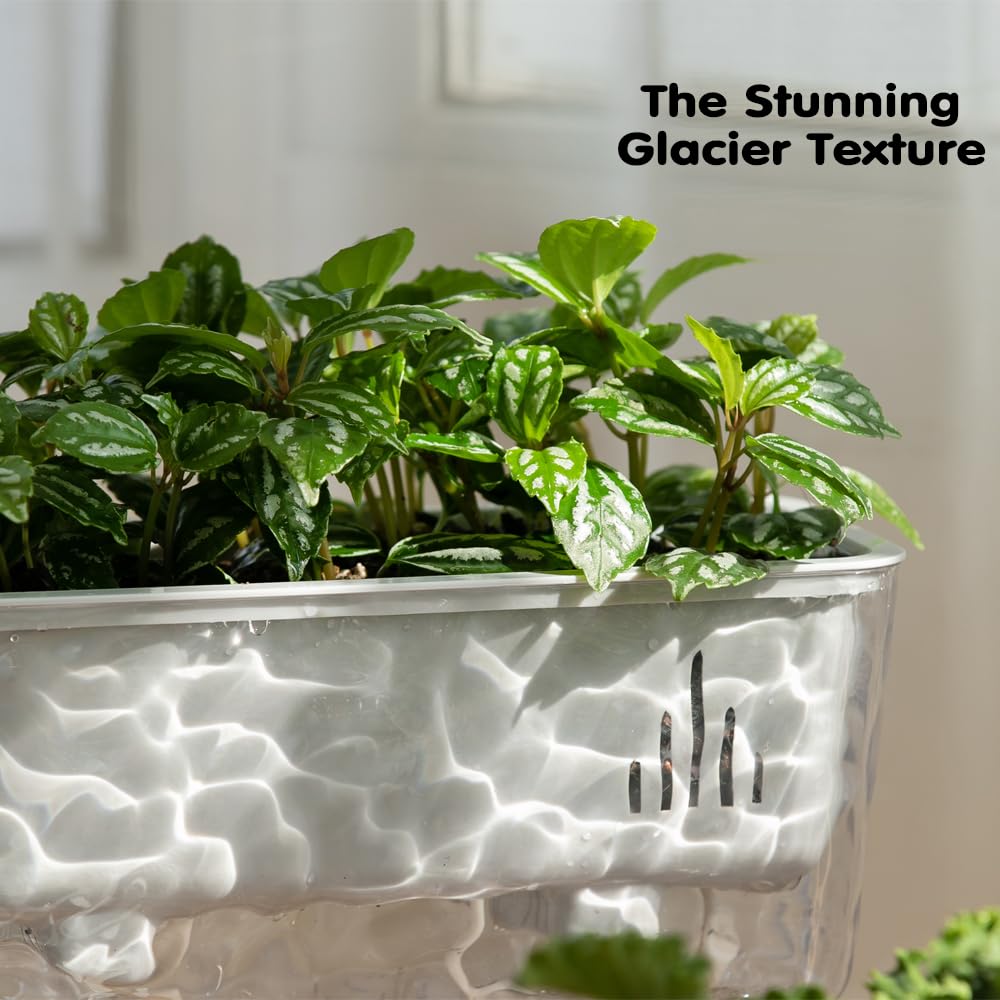 Qimodo 3 Pack Self Watering Rectangular Plant Pots, 11" x 5"x 5" Plant Containers with Drainage Holes, Rectangle Houseplant Window Planters for Succulents, Flowers,Herbs,Vegetables (Grey)