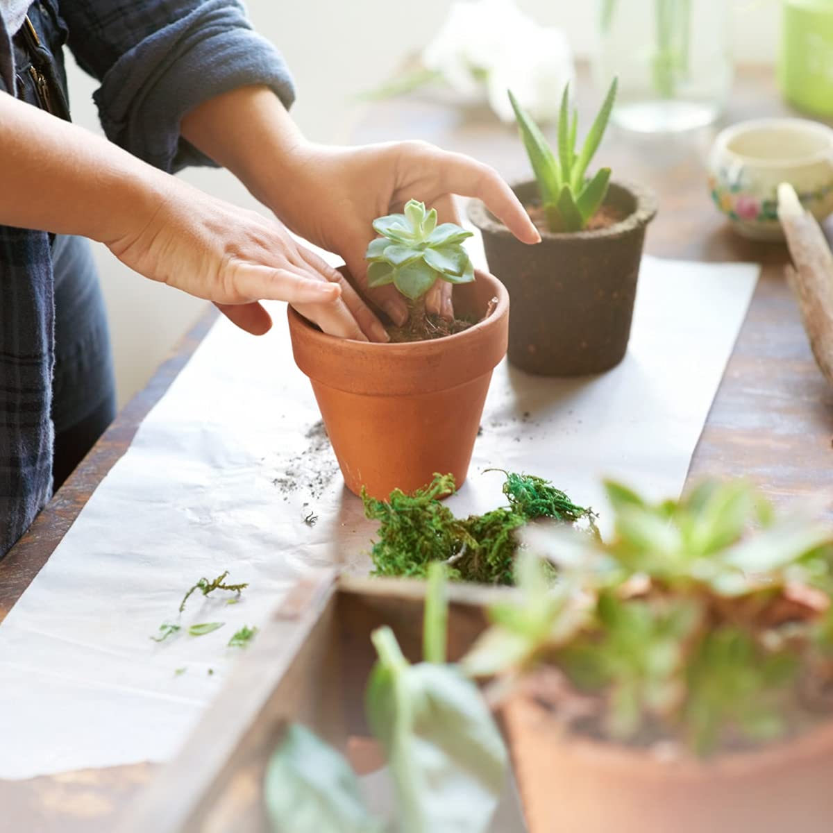 Sderoq 3 Inch Terracotta Pots - 22Pack Clay Flower Pots with Drainage Hole, Succulent Nursery Pot/Cactus Plant Pot. Great for Plants, Crafts, Wedding Favorn, DIY Production