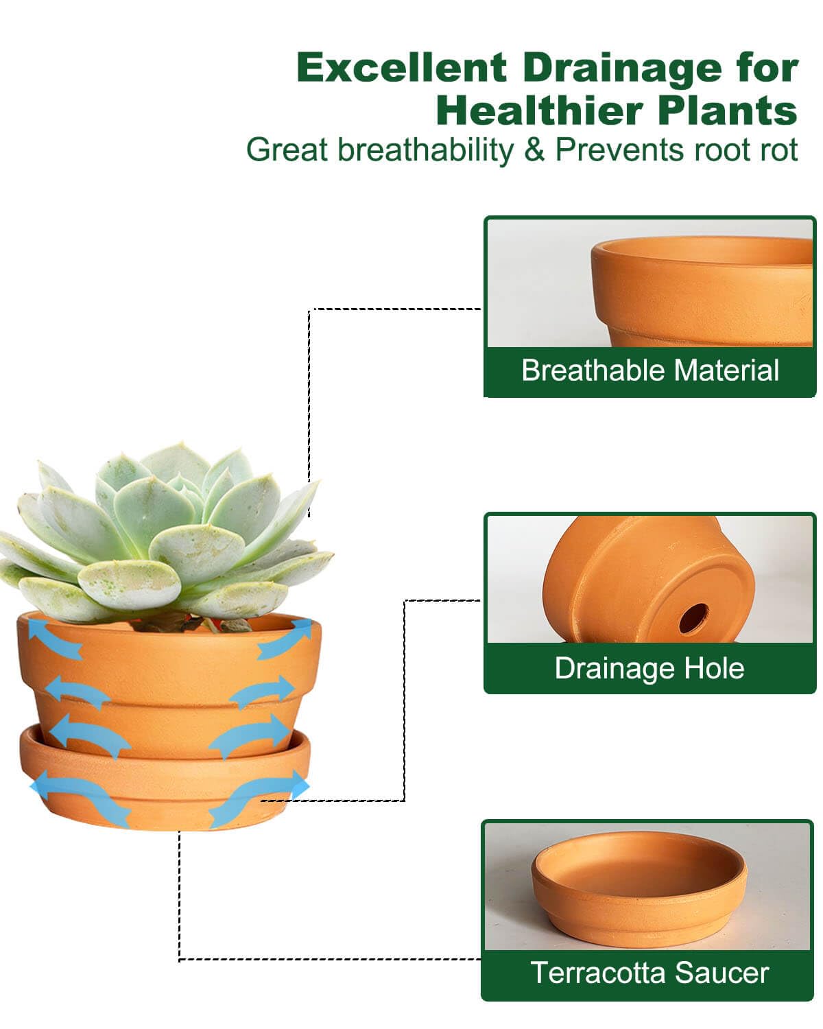 3.7 Inch Shallow Terracotta Plant Pots - 6 Pack Mini Clay Flowerpot with Drainage Hole, Terra Cotta Succulent Pot for Indoor Outdoor Plants