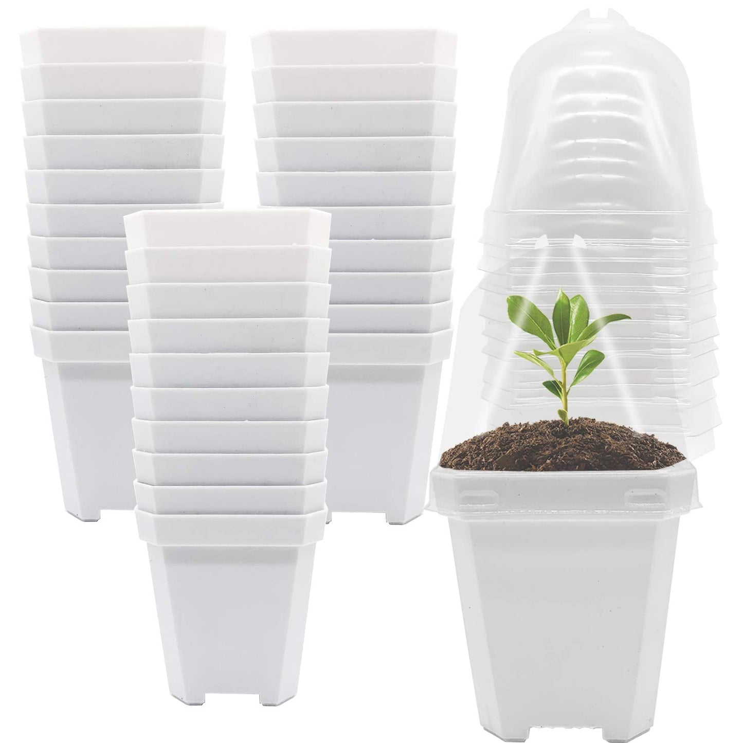 PURPLE STAR 1N 30 Packs Plant Nursery Pots with Humidity Dome, Small Gardening Pots, Square Planting Containers Cups for Succulents Seedlings Cuttings Transplanting