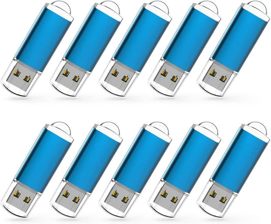 RAOYI 10 Pack 1GB 1G 2.0 USB Flash Drive USB Memory Stick Bulk Thumb Drive Pen Drive Blue