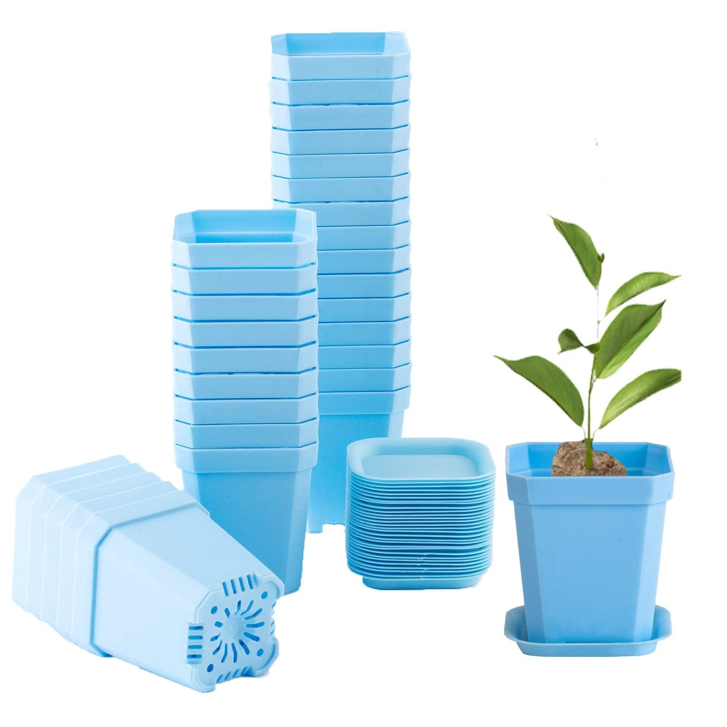 foxany 3" Plants Nursery Pot, 30 Pcs Thick Plastic Square Flower Planting Pots, Plant Seedling Pots, 30 Seed Starting Pots with 30 Saucers -Blue
