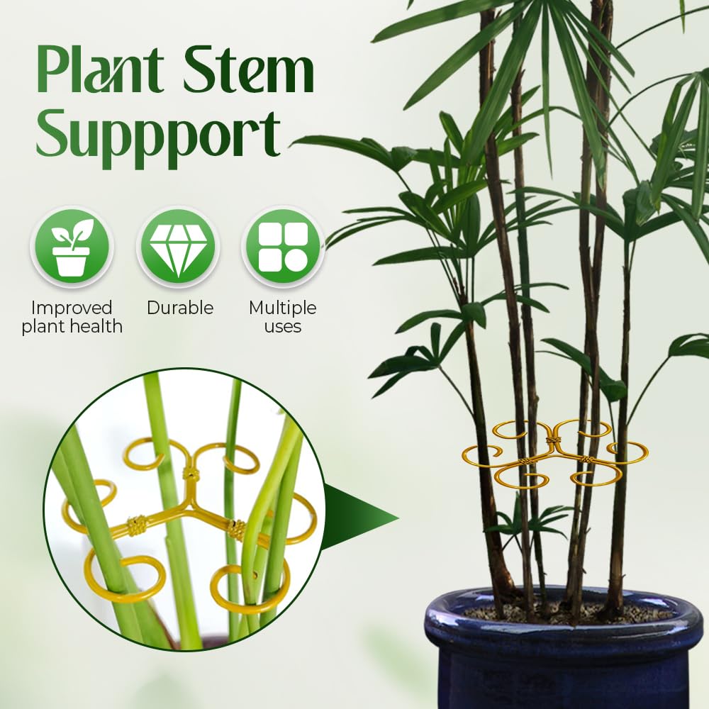 Monstera Plant Support Durable Stabilizer Grapple Holder,Plant Accessories Stable Plant Stem Support Stakes for Outdoor & Indoor Growing Climbing Plant Care Thriving Growth (3, Heart)