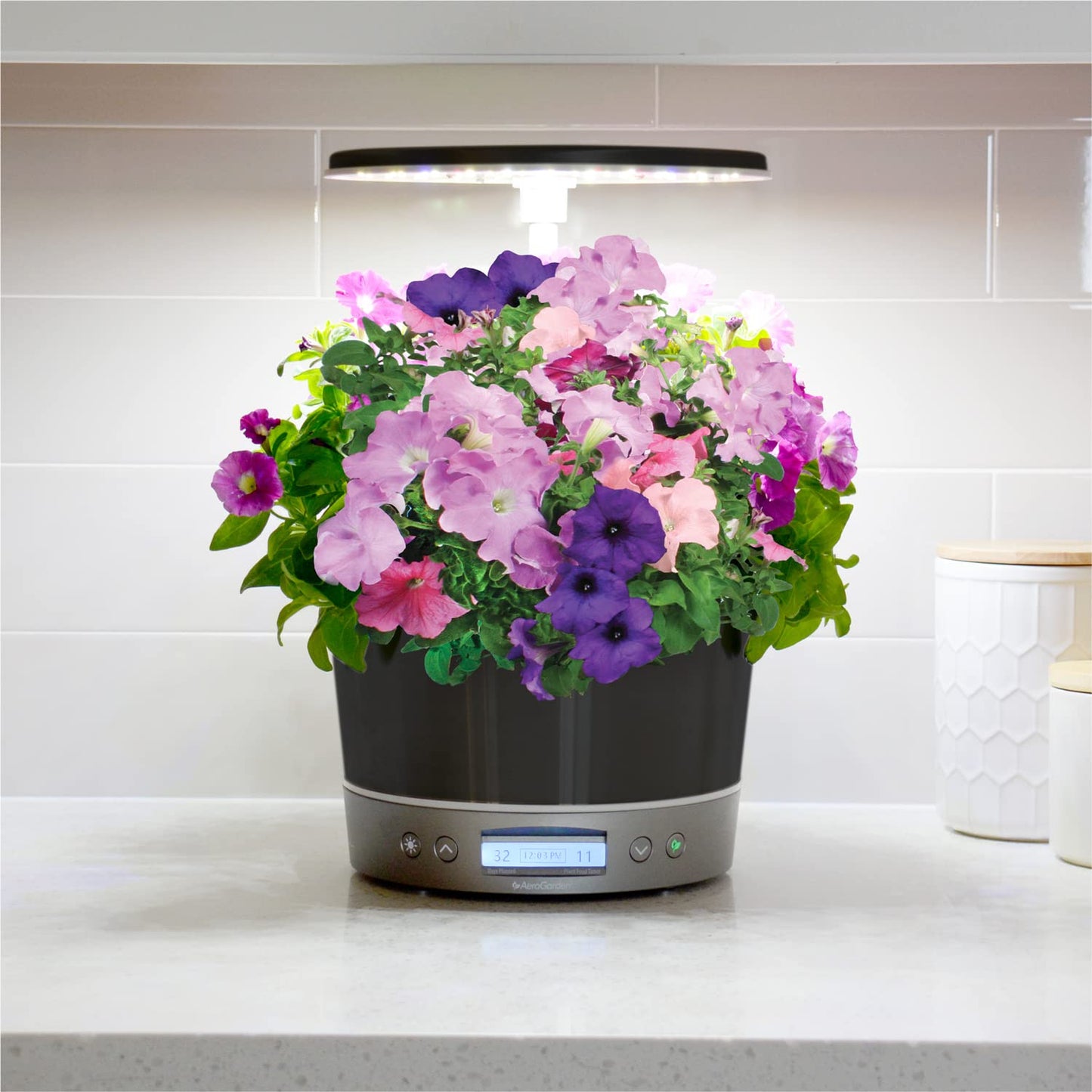AeroGarden Harvest Elite 360 Indoor Garden Hydroponic System with LED Grow Light and Herb Kit, Holds up to 6 Pods, Platinum