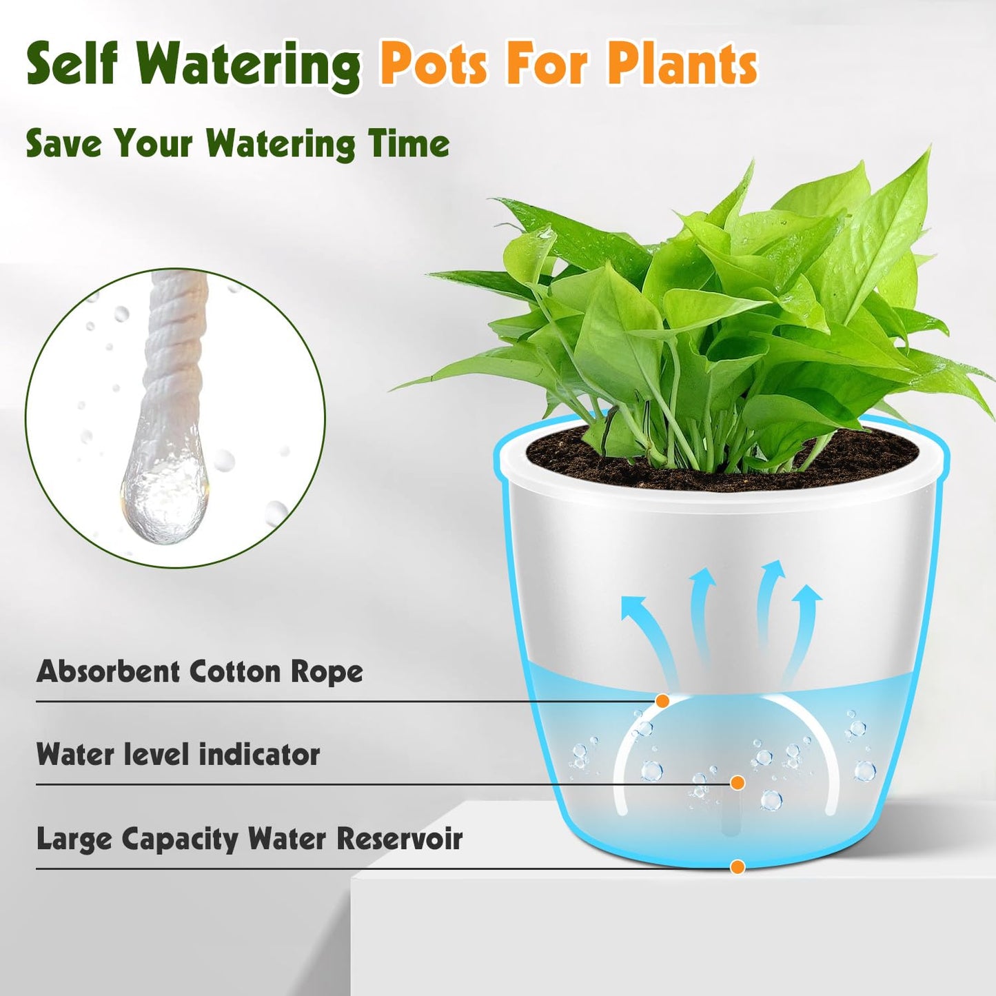 KvyusFlourish Self-Watering Pots for Indoor Plants, 12-Pack 5'' Self Watering Planter with Drainage Holes, Small African Violet Pots with Water Indicator, Clear Wick Pot, White