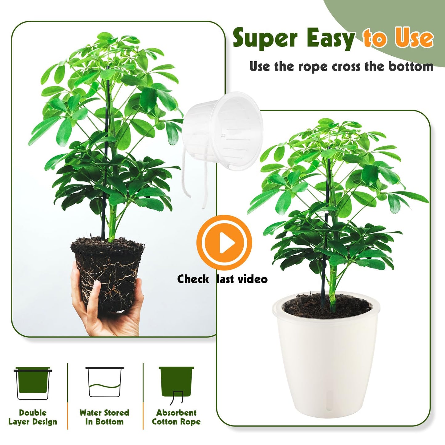 KvyusFlourish 8-Pack 5 Inch Self Watering Pots, Indoor Planter with Indicator, Transparent Wick Pot for Orchids, Small African Violet Pot, for Plants