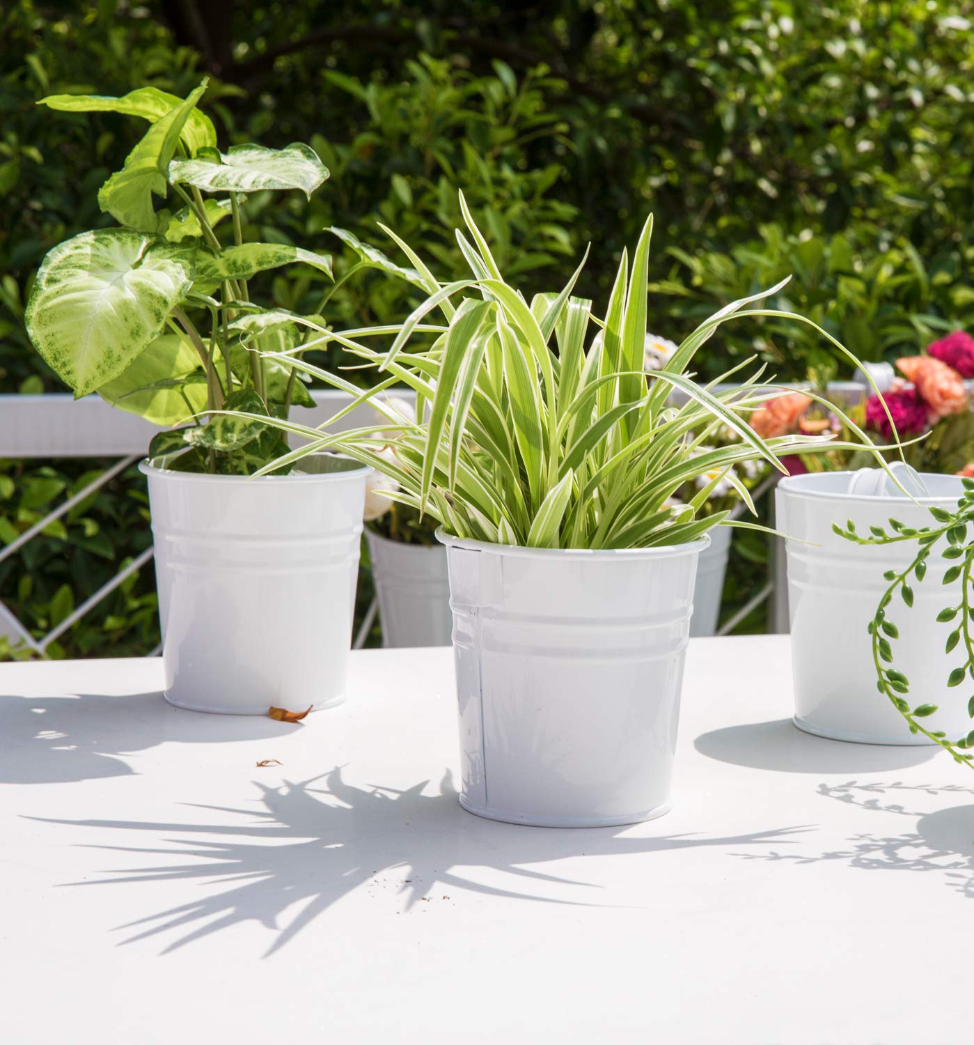 Dahey 10 Pcs Hanging Flower Pots Metal Iron Bucket Planter for Railing Fence Balcony Garden Home Decoration Flower Holders with Detachable Hooks, White, 4 Inches