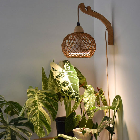 Bstrip Hanging Grow Lights for Indoor Plants, 18W Full Spectrum Plant Light, Boho Rattan Lantern Shade, 3800K Wall-Mounted Decorative Grow Light with 9.8FT Power Cord for Indoor Plant Growing, Flowers