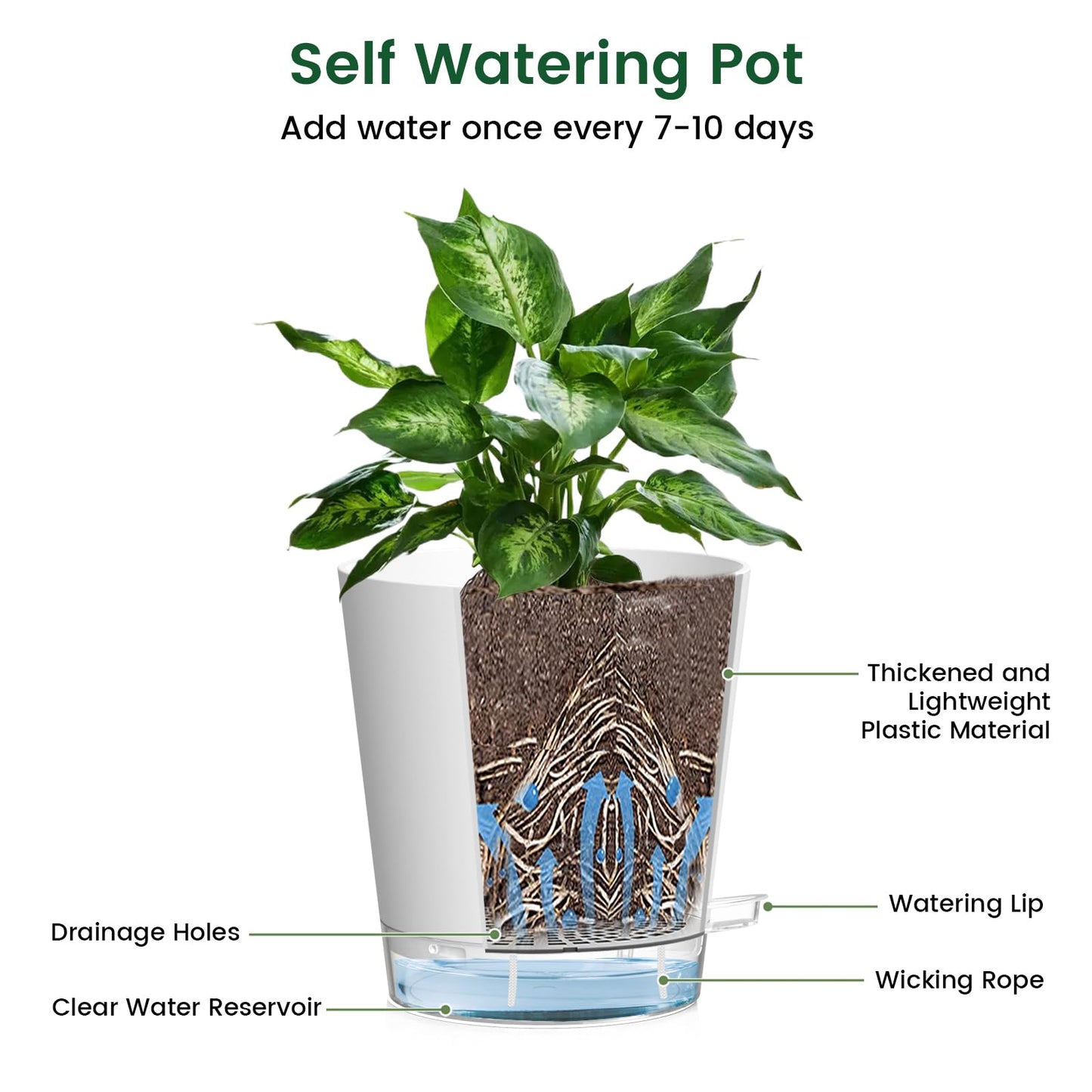 Meowell 7 inch Self Watering Pots for Indoor Plants, 5 Pack Plant Pots with Drainage Holes & Clear Reservoir for Visible Water Level, Plastic Wicking Planter Pots for House Plants and Flower, White