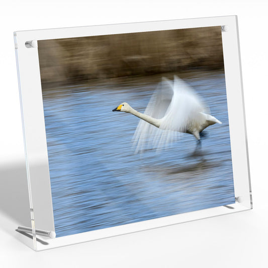 NIUBEE 8x10 Acrylic Picture Frame,Clear Frameless Photo Frame for Wall & Desktop Display Modern Floating Frame for Artwork Poster Diploma Certificate