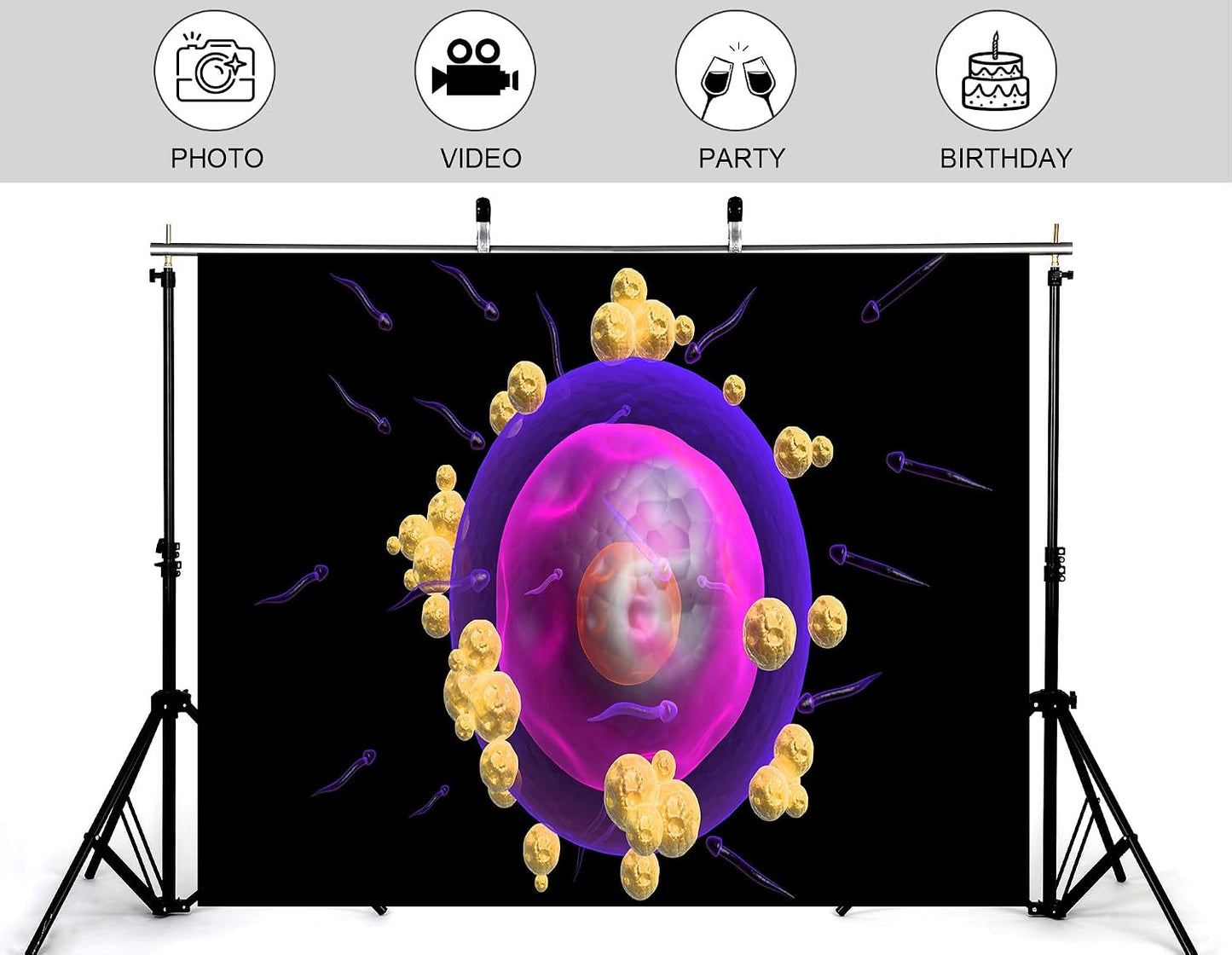 KeyWork 10x5ft Human Egg Cell Fertilization Backdrop Reproductive Science Photography Background for Health Fair