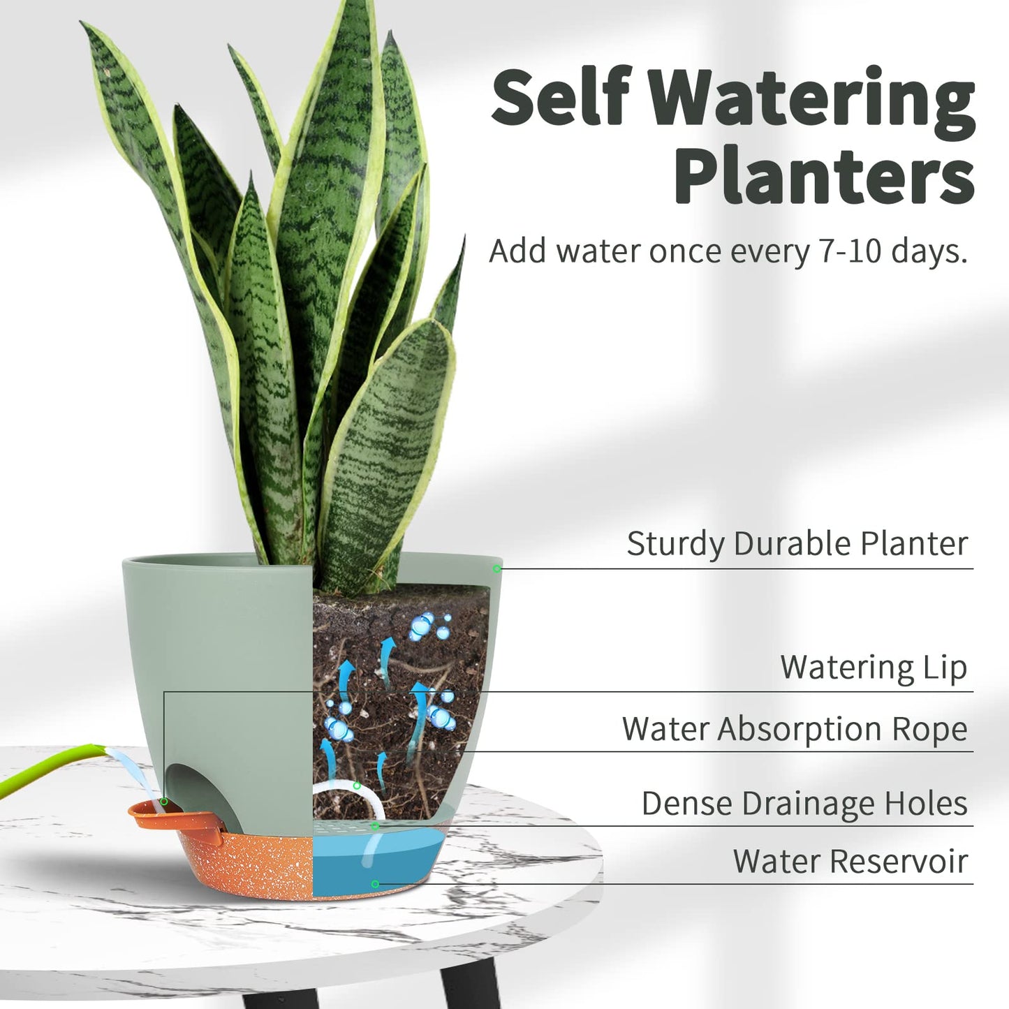 GARDIFE Plant Pots Set of 2 Pack 8 inch,Planters for Indoor Plants with Drainage Holes, Modern Decorative Flower Pots for All House Plants, Flowers, Green