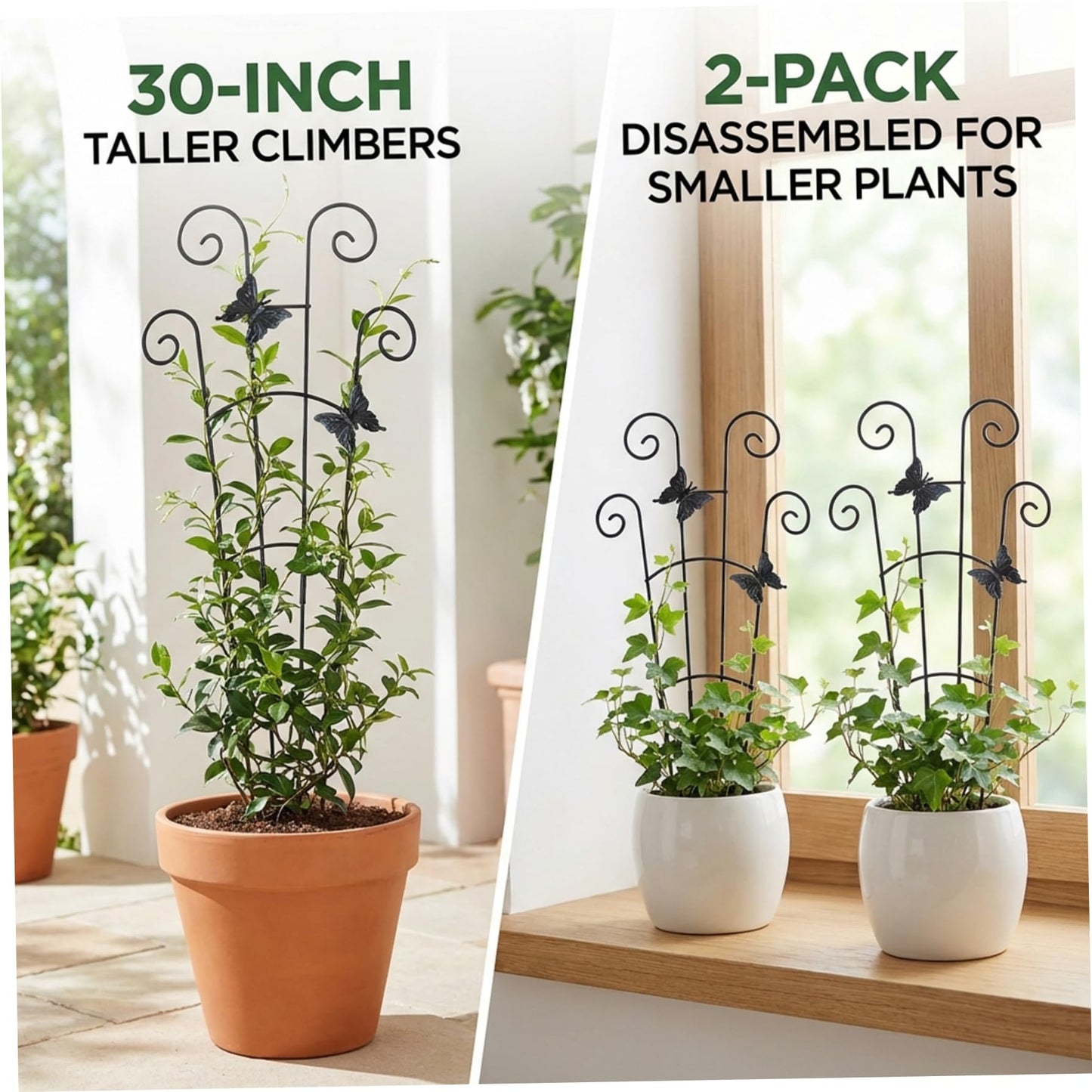 Plant Trellis 2 Pack Trellis for Potted Plants, 30 Inch Tall Butterfly Indoor Plant, Expandable & Rust-Resistant Metal Climbing Support for Vines
