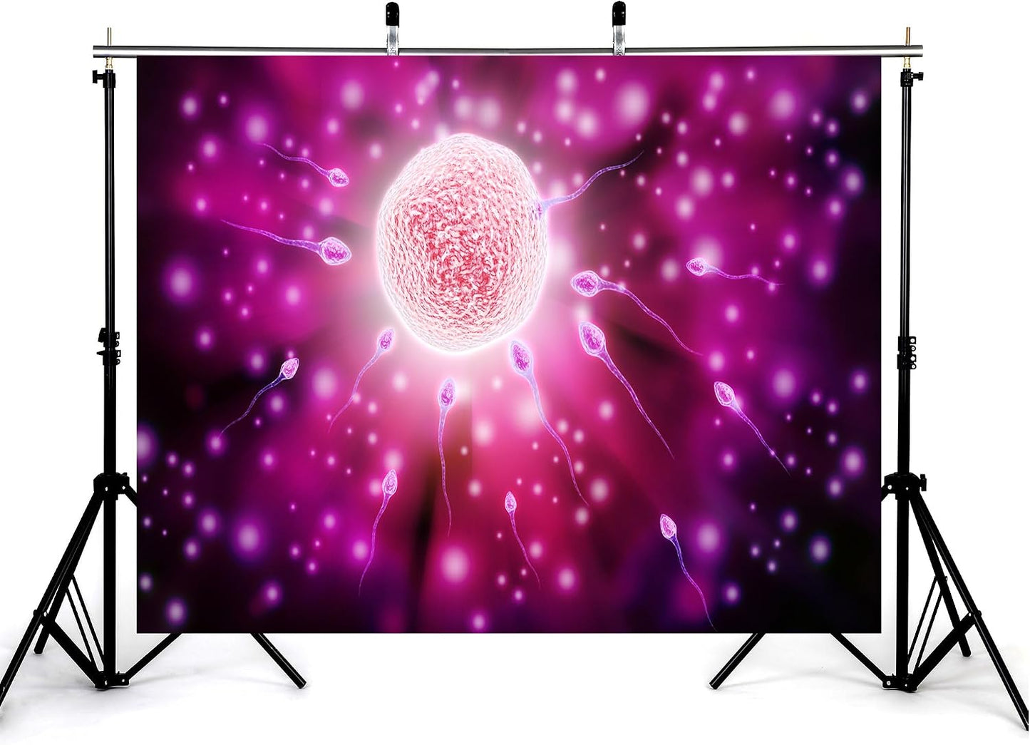 KeyWork 5x3ft Fertilization Science Illustration Backdrop Reproductive Biology Photography Background for Health Fair