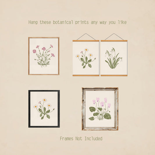 AIOAIFUT 4 Piece Vintage Botanical Wall Art, 8x10 Floral Prints Unframed, Vintage Flower Pictures Wall Decor
