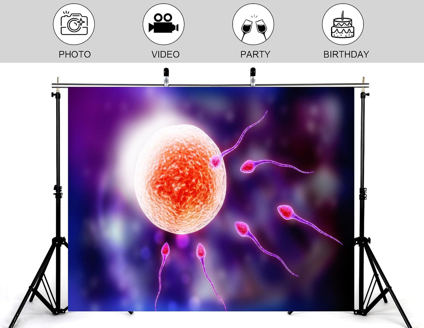 KeyWork 10x5ft Human Fertilization Illustration Backdrop Reproductive Science Photography Background for Health Fair