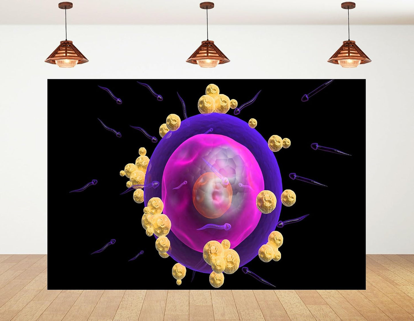 KeyWork 5x3ft Human Egg Cell Fertilization Backdrop Reproductive Science Photography Background for Health Fair