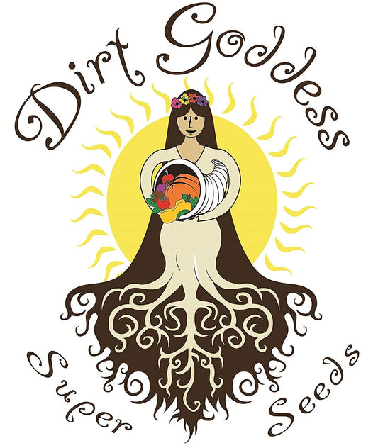 Dirt Goddess Super Seeds ~ Sunflower Seed Mix, Helianthus annuus (1 Lb) Non GMO Bulk, 10 Species of Wildflower Seeds- 2,250 Seeds
