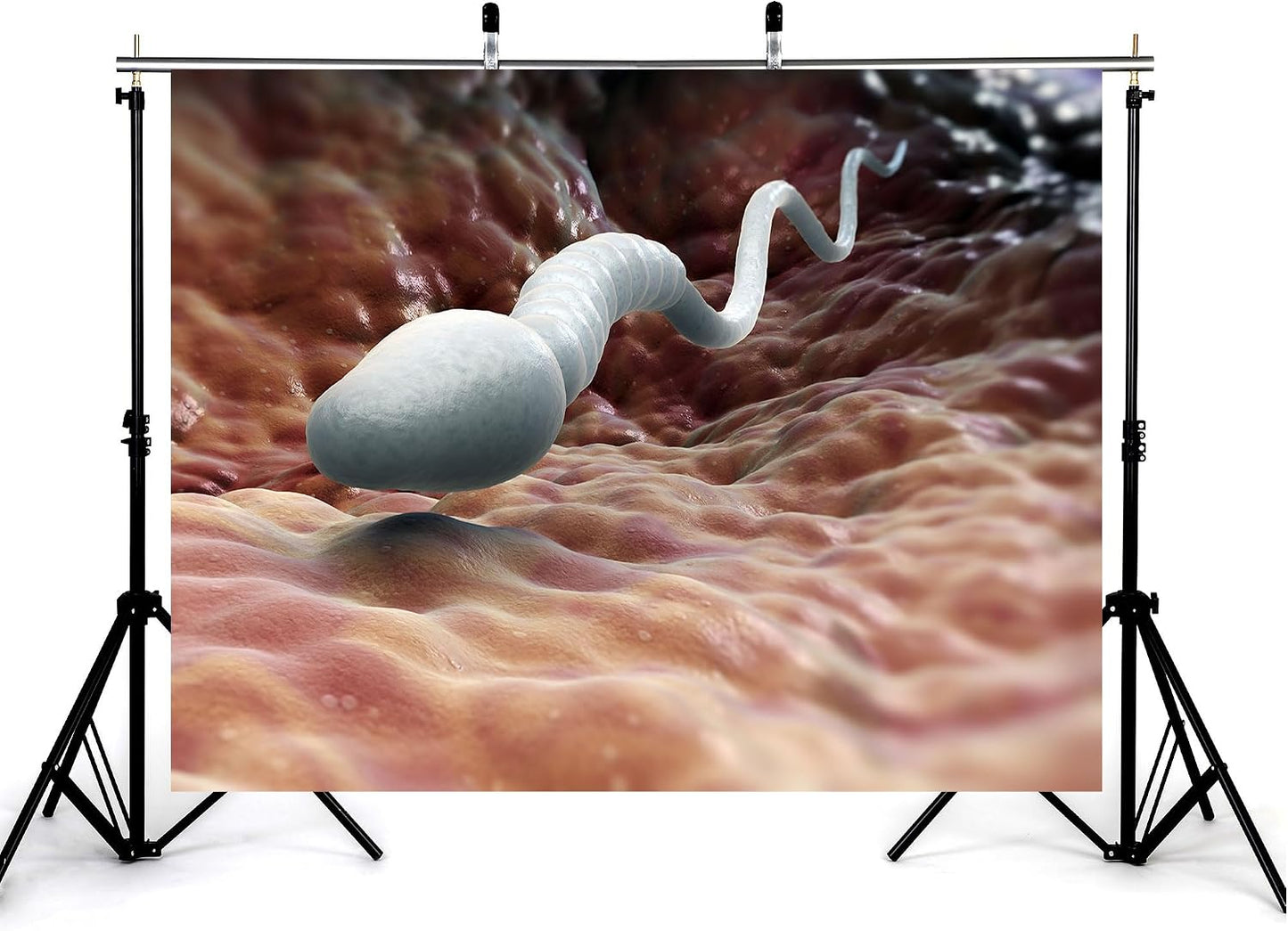 KeyWork 4x4ft Sperm Cell Backdrop Microscopic Reproductive Tissue View Photography Background for Medical Conference