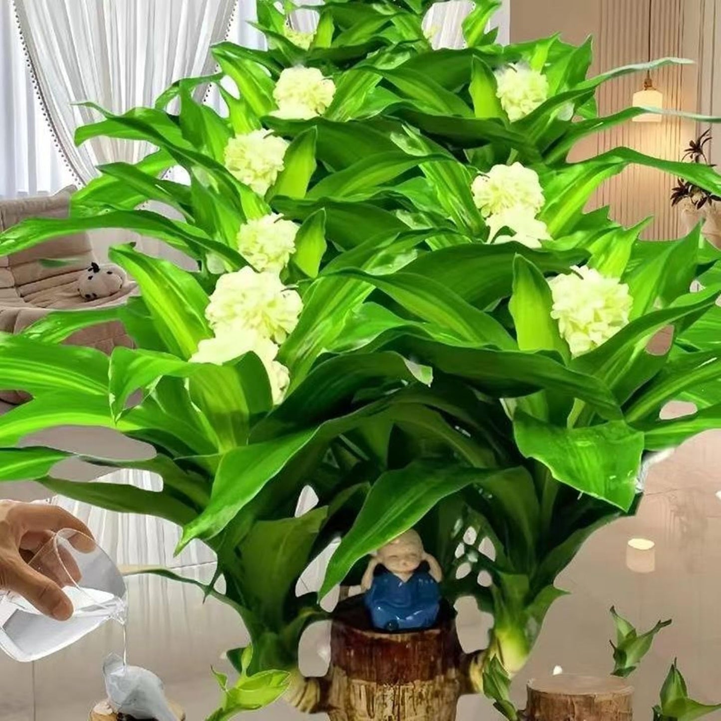 Brazilian Lucky Wood & Lucky Growth Kit,Grow Your Own Luck,Mini Sculpture Art,Good Luck Offices, Kitchens, Living Rooms, Home Decorations (A)