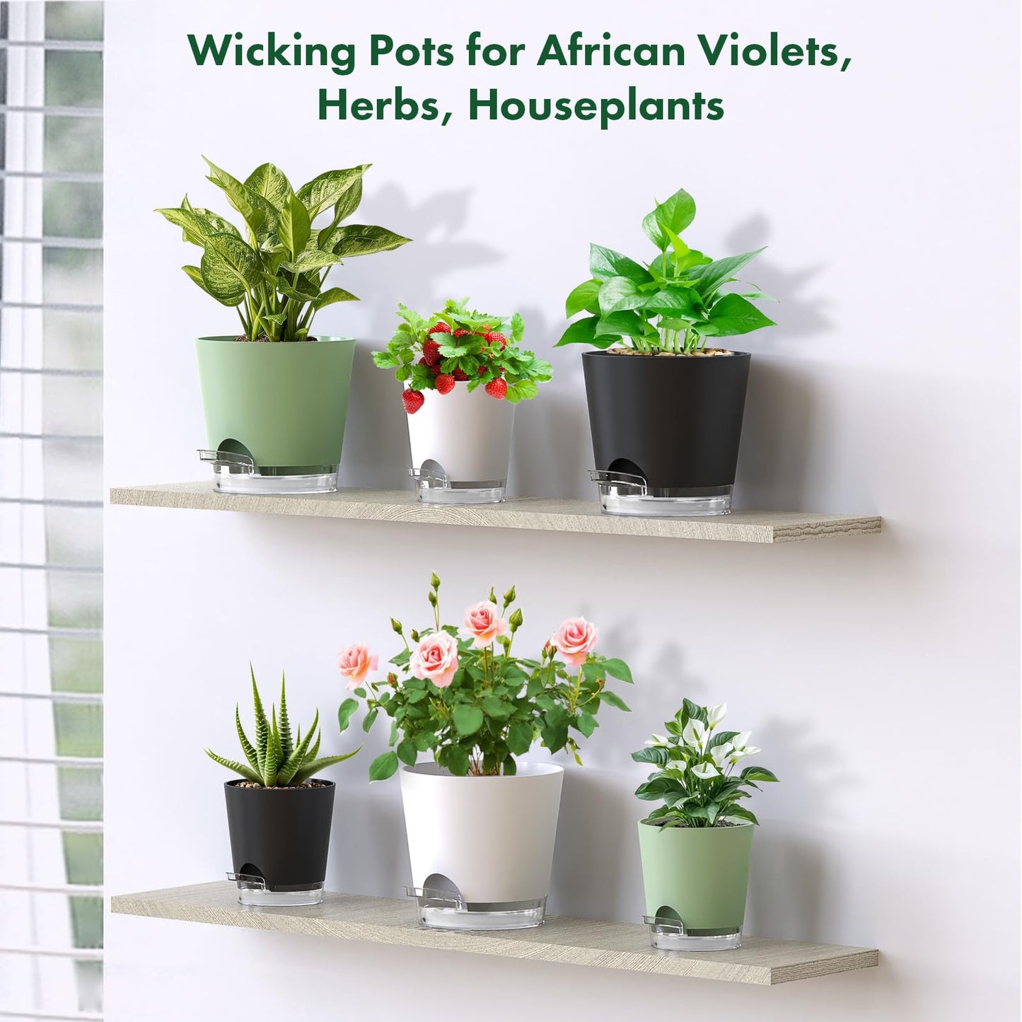 Meowell 5 inch Self Watering Flower Pots for Indoor Plants, 5 Pack Small Plant Pots with Drainage Holes & Clear Reservoir for Visible Water Level, Plastic Wicking Planter Pots for House Plants, White
