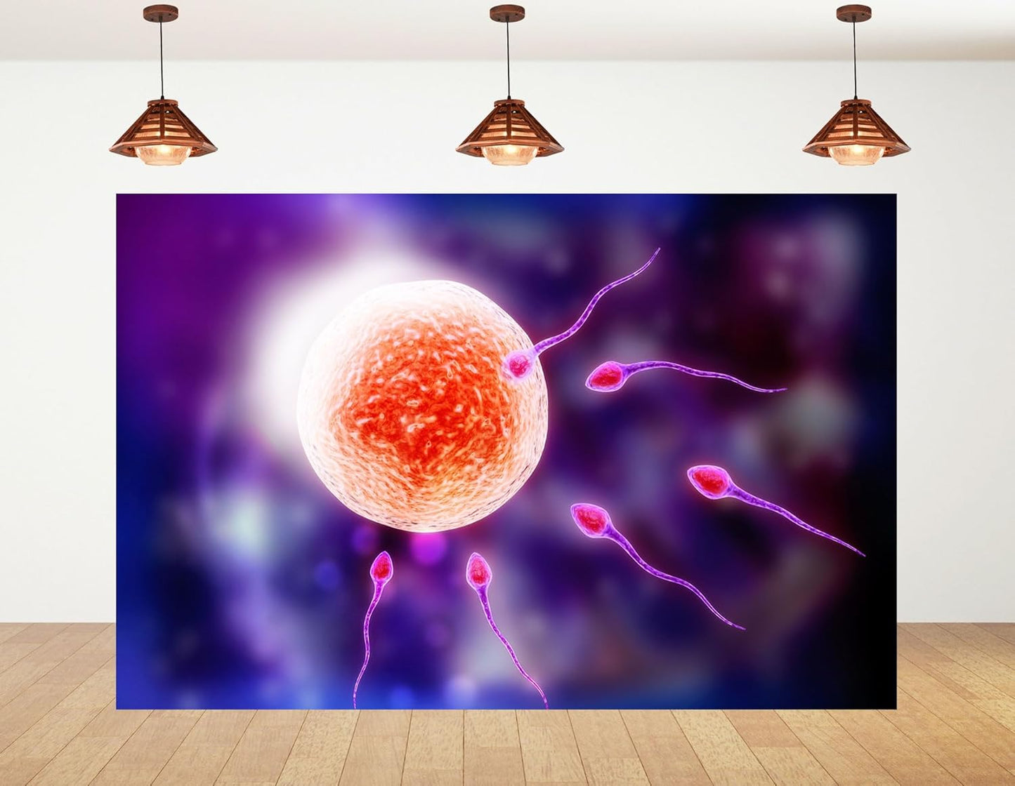 KeyWork 5x3ft Human Fertilization Illustration Backdrop Reproductive Science Photography Background for Health Fair