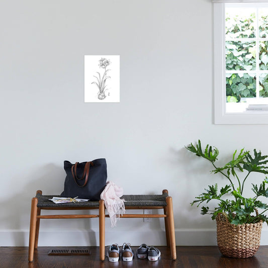 ART.COM Wall Art Prints Botanical Sketch II by Ethan Harper, Botanical Decor, 12" x 16"