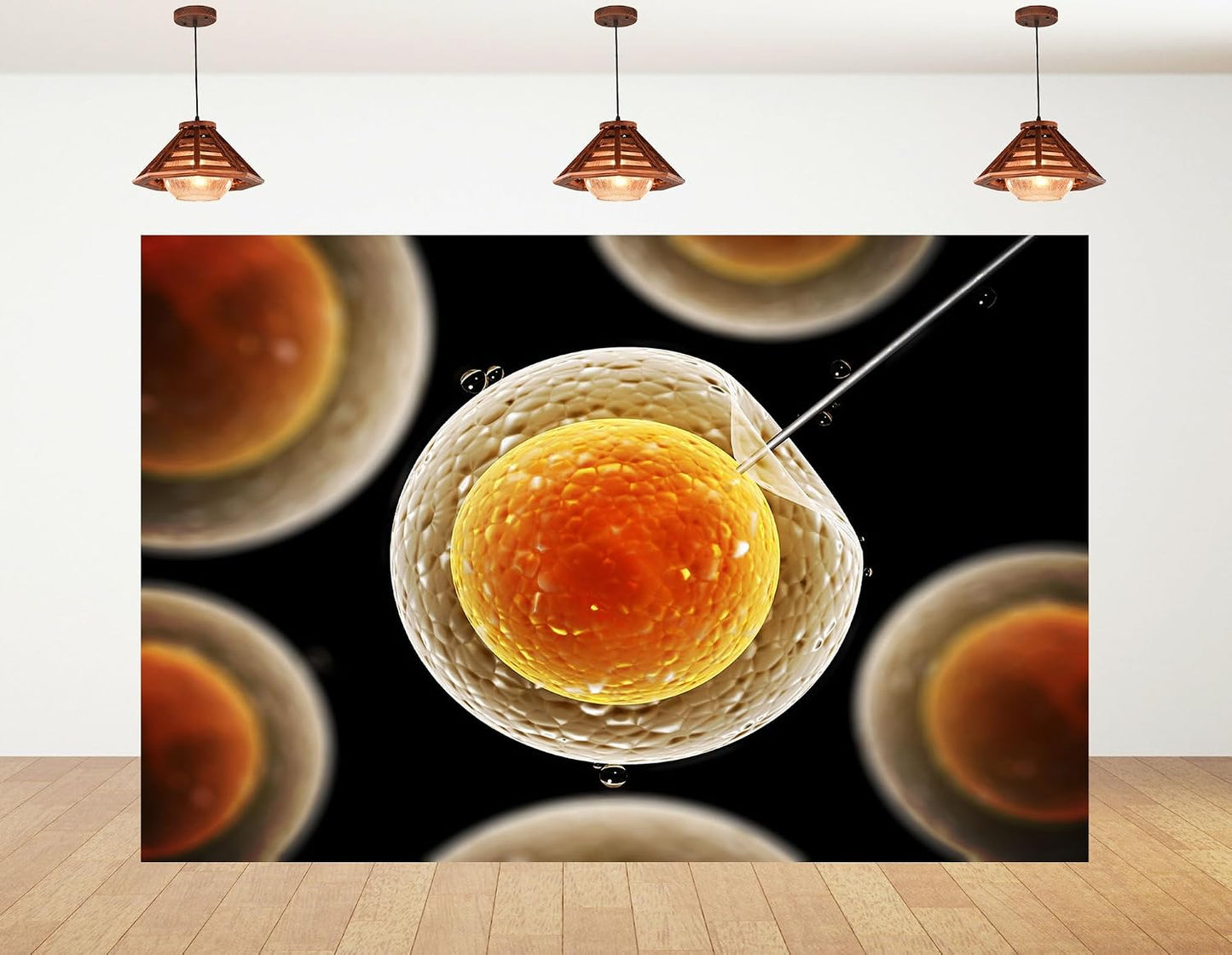 KeyWork 9x6ft Egg Cell Fertilization Backdrop Reproductive Medical Photography Background for Science Fair Health Event