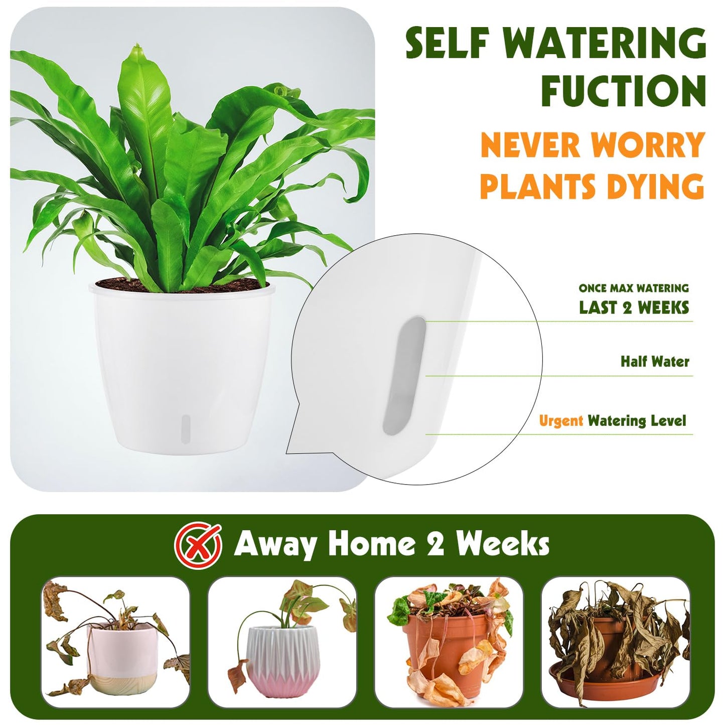 KvyusFlourish Self Watering Pots for Indoor Plants, 12-Pack 5'' Self Watering Planter with Drainage Holes, Small African Violet Pots with Water Indicator, Clear Wick Pot, White/Black/Blue/Rose Gold