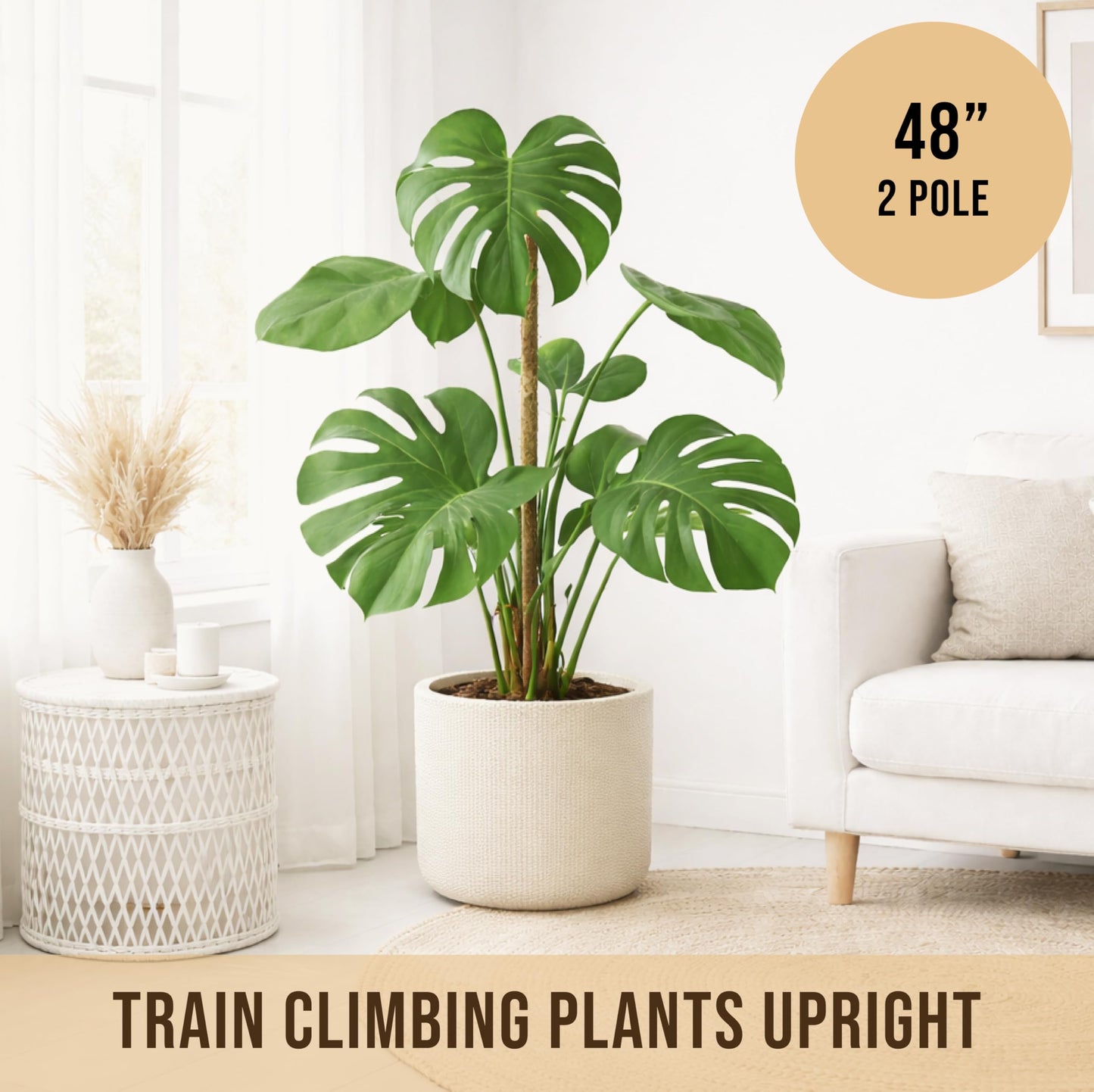 Craft911 Moss Pole Monstera Plant Support – 2 Pack 48” Bendable Moss Pole Monstera Plant Support, Plant Stakes for Indoor Plants, Tall Plant Sticks Support for Climbing Plants