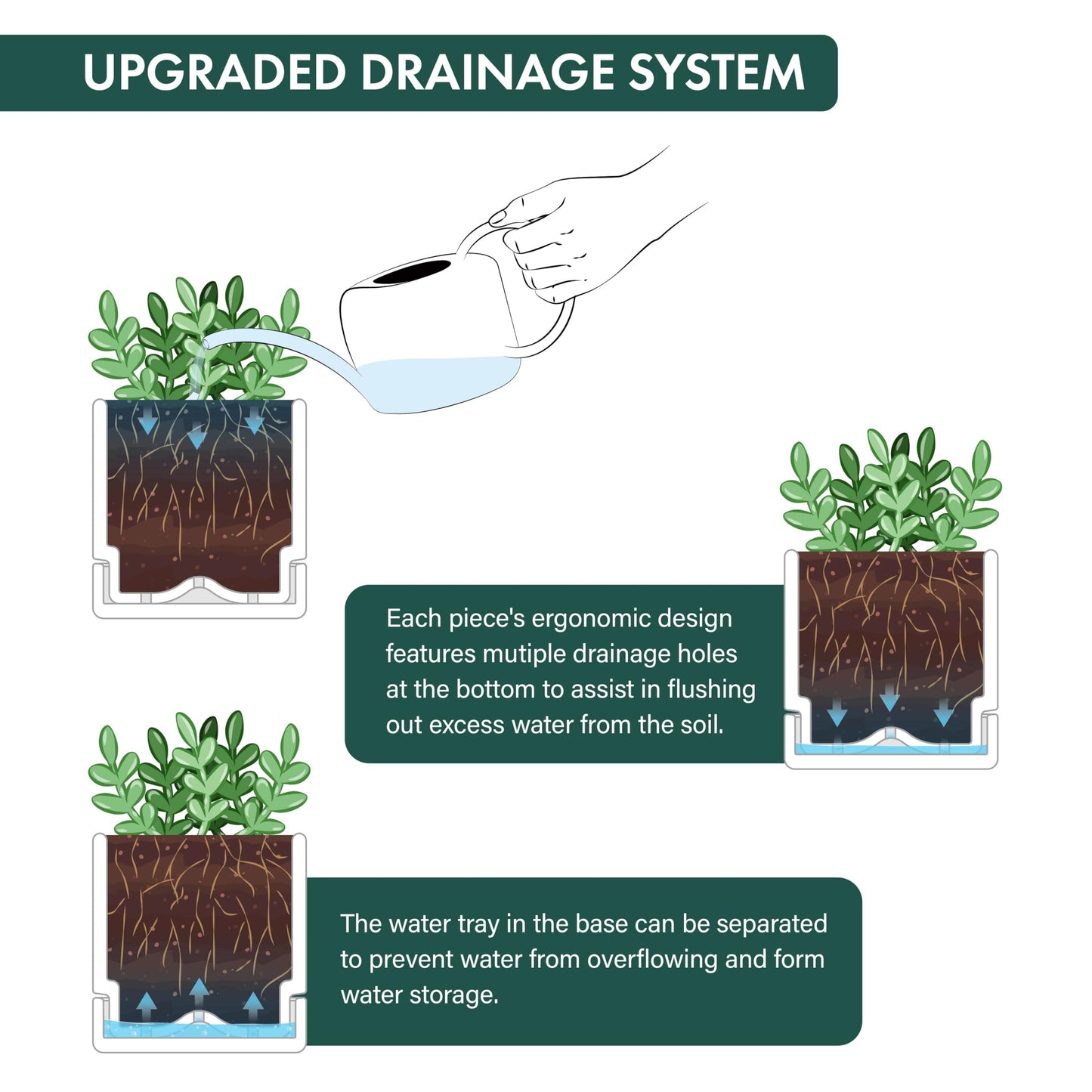 D'vine Dev 4 Inch Herb Planter Pots, Acrylic Planter with Drainage Holes and Saucer, Modern Decorative Gardening Pot for Indoor Plants, Herbs, Succulents, Clear, Set of 6, 76-Y-D-6