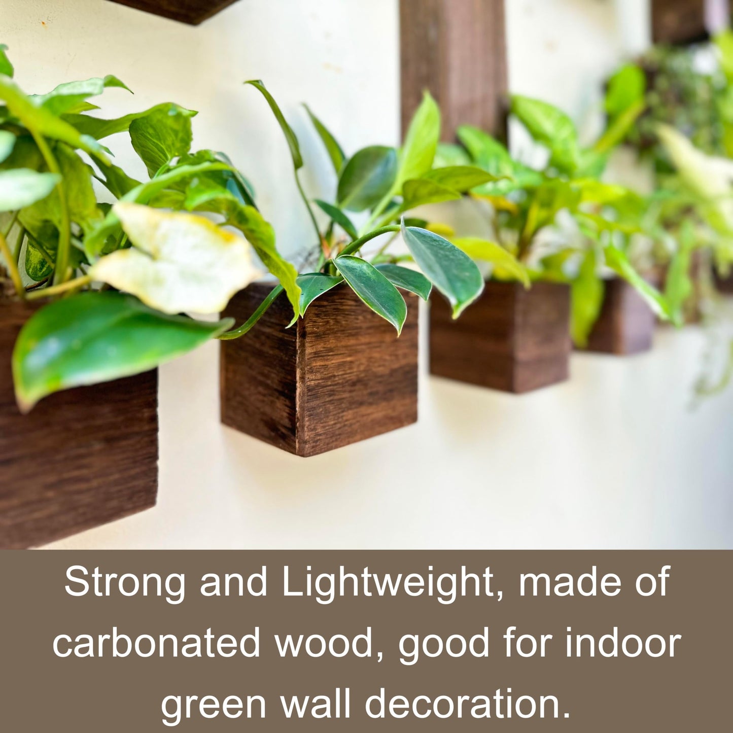 LaLaGreen Wood Planter Box for Plants (4x4 Inch, 2 Pack) Small Square Wall Planters for Indoor Plant, Window Hanging Flower Pot Wooden Boxes for Table Centerpiece Herb Balcony Home Garden Office Decor