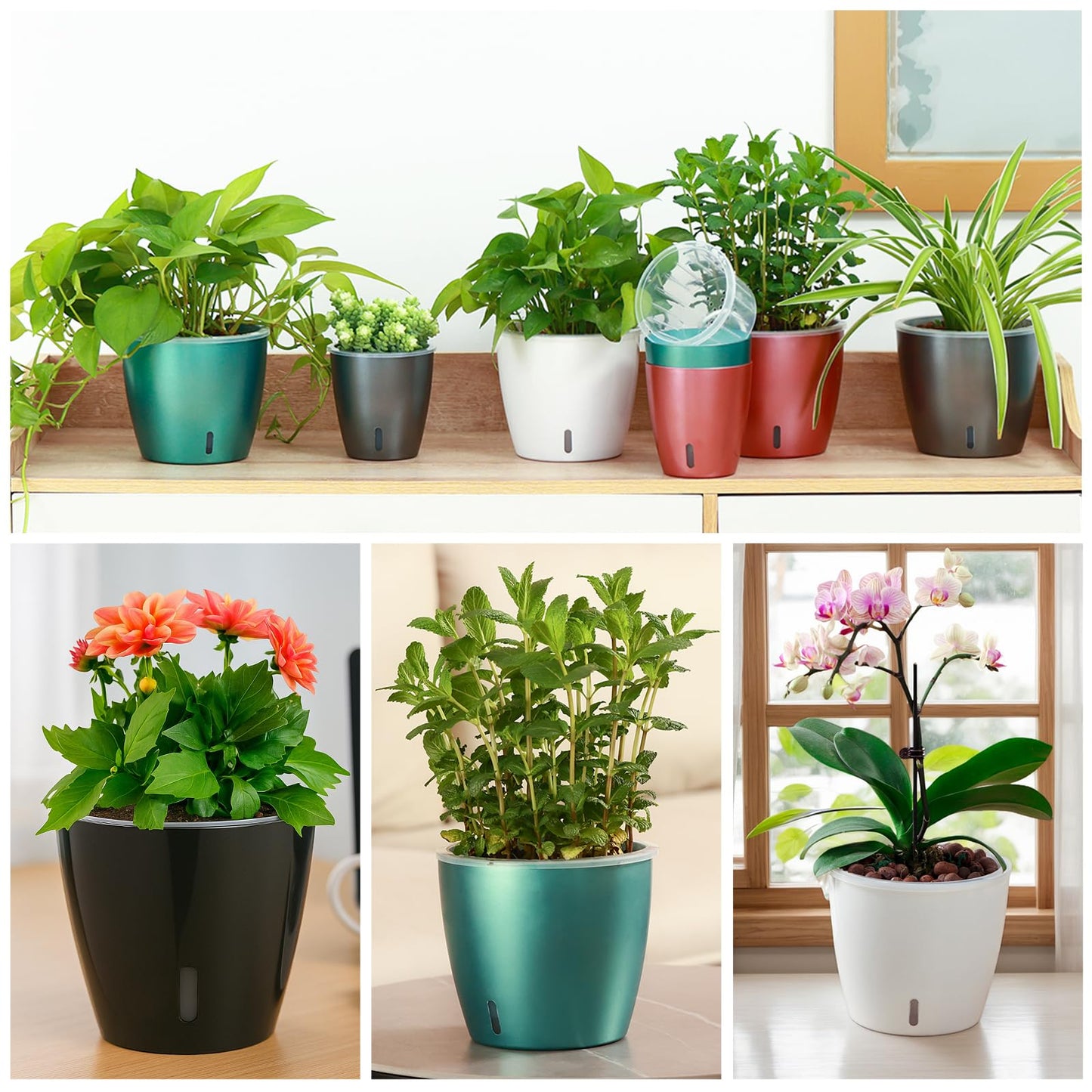 KvyusFlourish Self Watering Pots for Indoor Plants, 12-Pack 5'' Self Watering Planter with Drainage Holes, Small African Violet Pots with Water Indicator, Clear Wick Pot, White/Black/Blue/Rose Gold