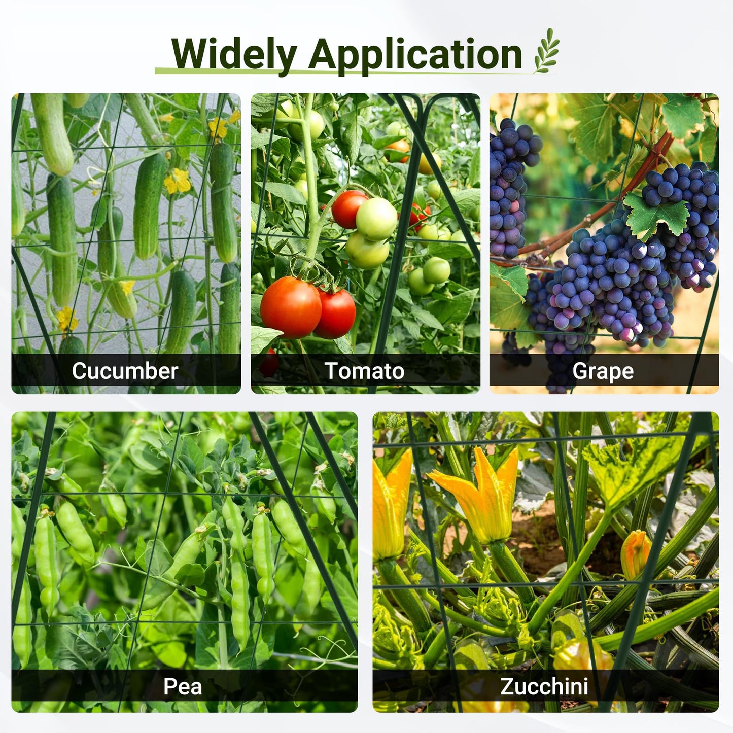 Toriexon Cucumber Trellis for Garden - 2 Pack, 48" L x 16" W Garden Trellis for Climbing Plants Outdoor with Support Structures, A Frame Trellis for Climbing Vegetables Peas, Vine, Bean