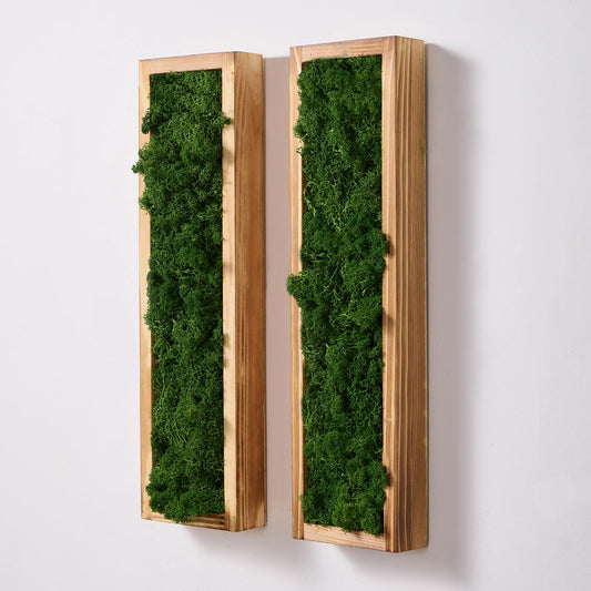 Mokof 2 Pack Moss Wall Art - Preserved Moss in Wood Frame - 17.3" Natural Green Wall Decor for Living Room, Bedroom, Bathroom, Entryways, Home Office (Forest Green)