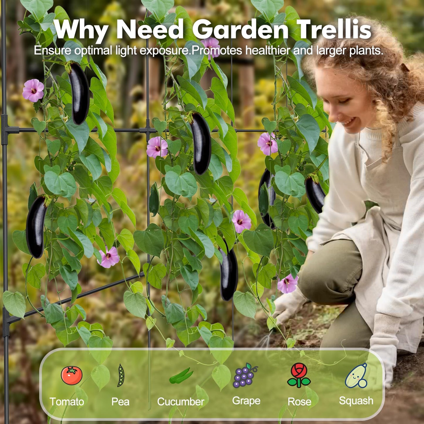 GOJAWAY 63" L x 63" H Cucumber Trellis for Raised Bed, Metal Arch Garden Trellis for Climbing Plants Outdoor, U-Shape Gardening Support Frame for Vegetable, Flower, Fruits, Vine