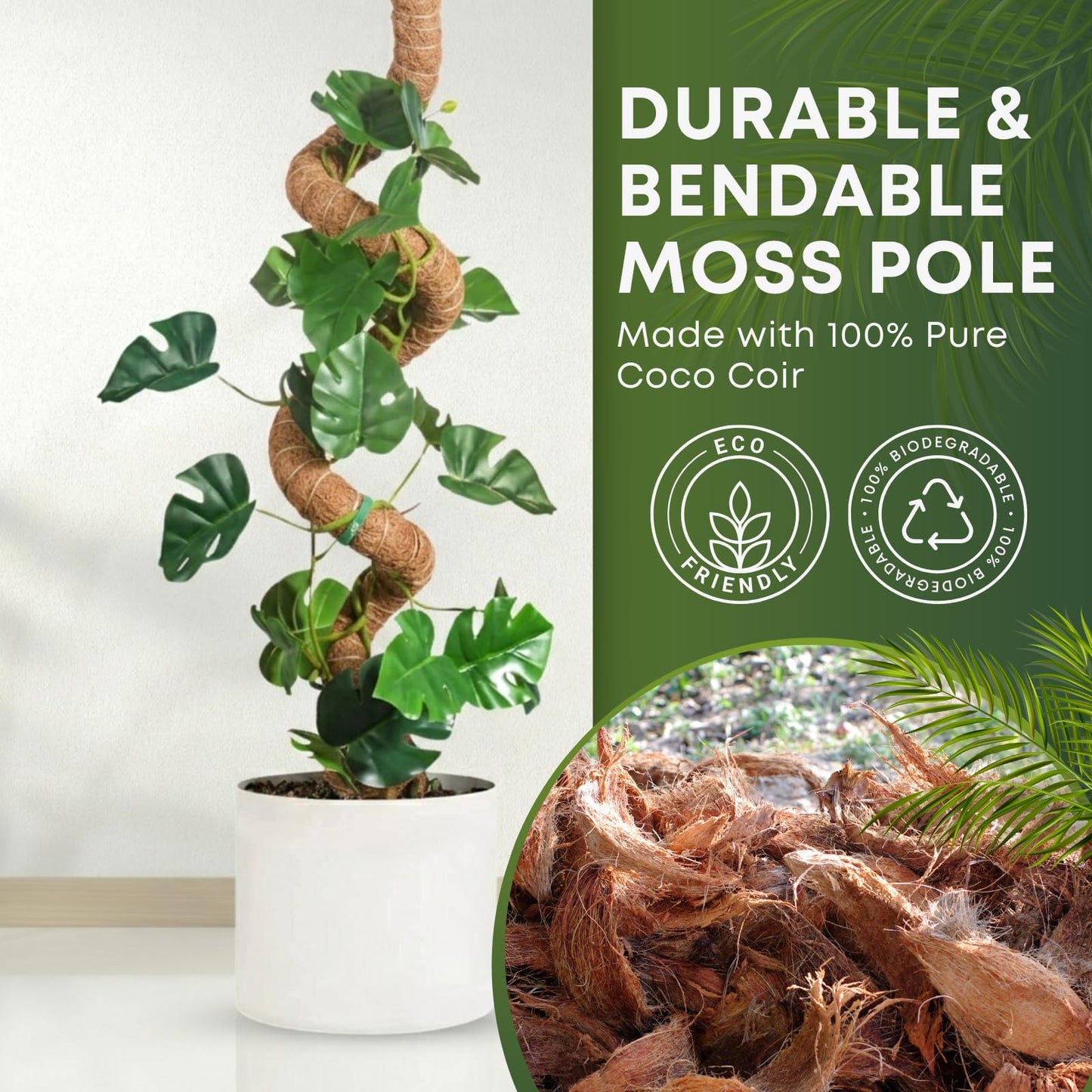 Auraville Moss Pole Monstera Plant Support | 60 Inch Plant Stakes for Indoor Plants | Coconut Palm Fiber Moss Poles for Climbing Plants | Handmade Plant Sticks Support Tall Monstera, Pothos & More
