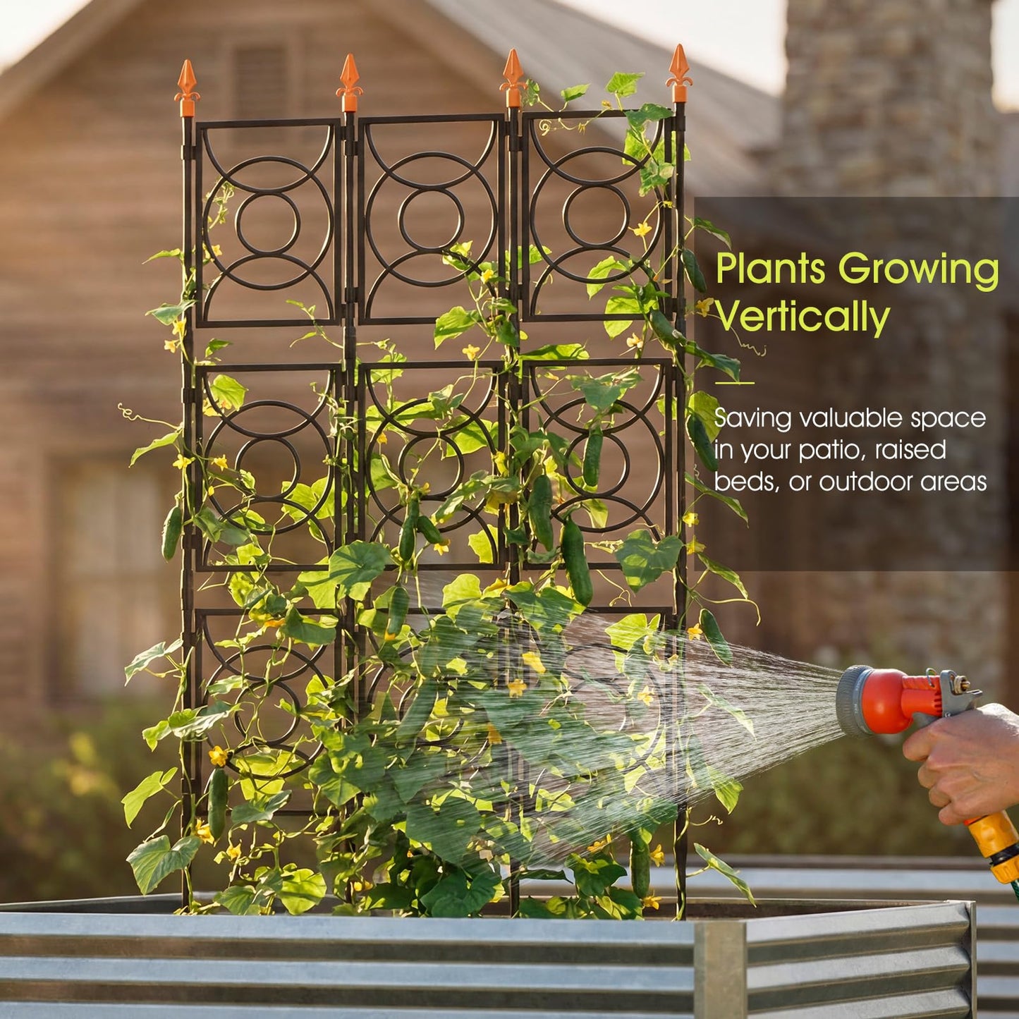 Trellis for Climbing Plants Indoor Outdoor, 24 Rifny Tall Garden Trellis Flower Rose Cucumber Trellis for Vines Pea Support, Wall Large Plant Trellis Fence with Plastic Plastic Screen Frame, 6.2 FT