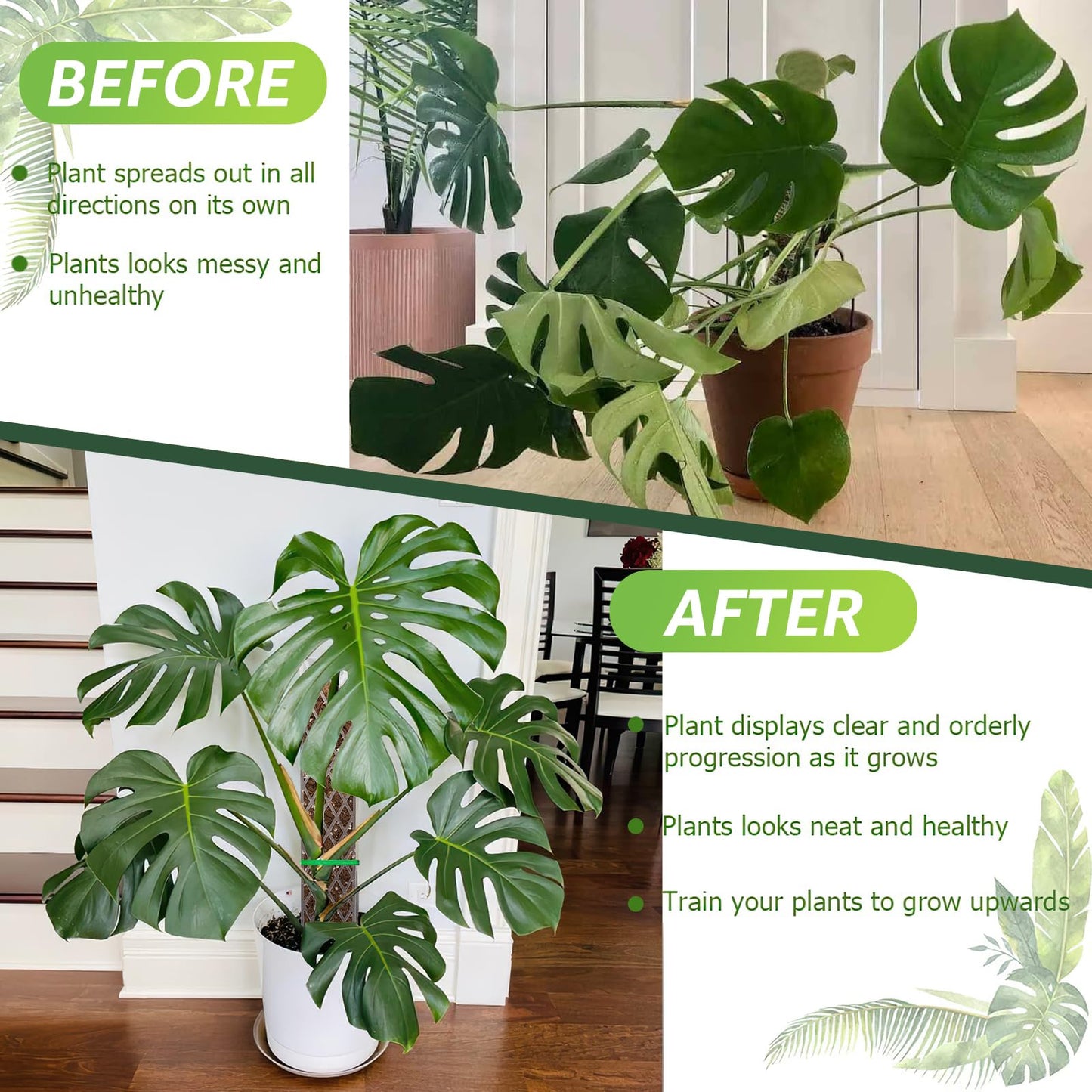 Sisher 2 Pack 16 Inch Plastic Moss Poles for Climbing Plants D Shaped Moss Pole Work with Sphagnum Moss Sticks for Indoor Plants, Moss Pole Monstera Plant Support,with Garden Ties