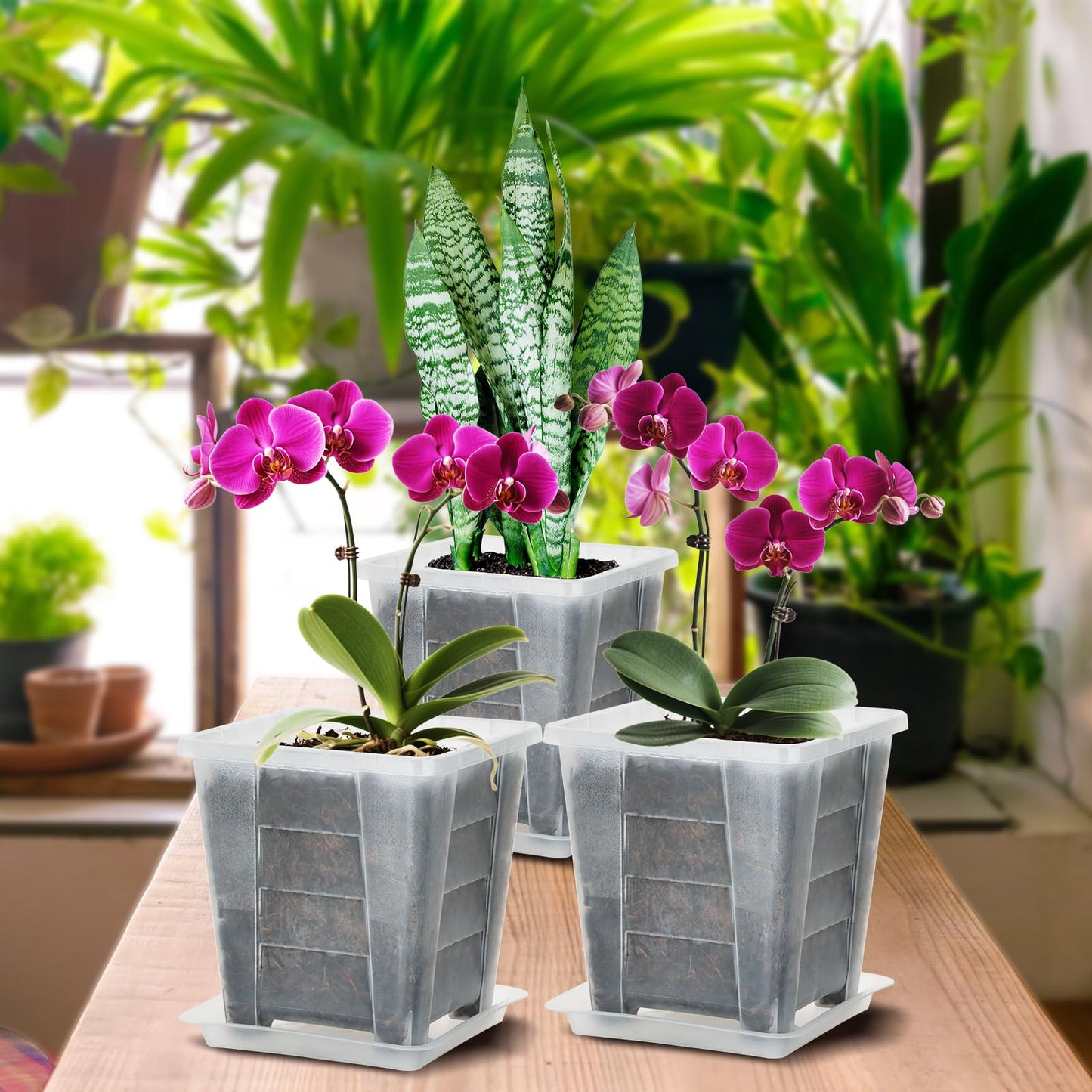 KIMERSE Square Orchid Pot, Clear Flower Pot 6 Pack 6 Inch, Root Control Planting Pots with Tray, Plastic Plant Pot for Home Balcony Orchids, Water Moss, Spider Plants