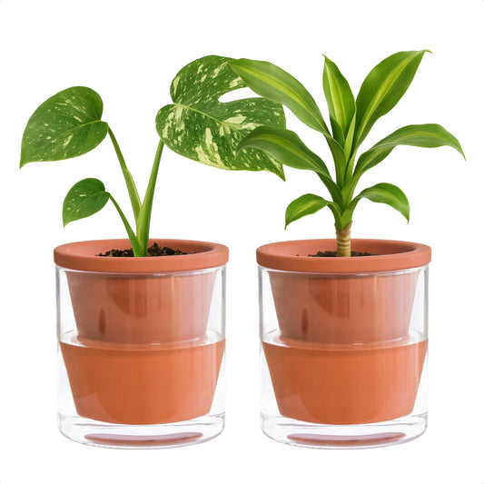 D'vine Dev 4 Inch Design Self Watering Pot for Indoor Plants, Terracotta Planter with Cylinder Glass Cup, Set of 2, 37-Y-A-1