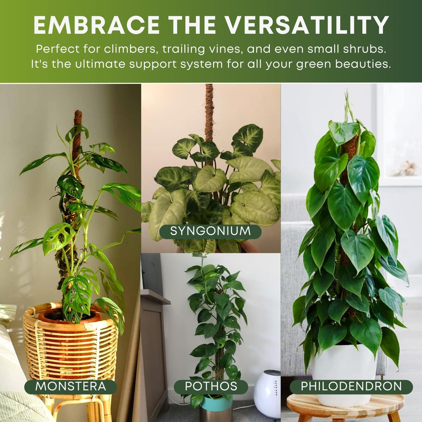 Auraville 28 Inch 2 Pack Bendable Moss Pole Monstera Plant Support | Plant Stakes for Indoor Plants | Coconut Fiber Moss Poles for Climbing Plant| Handmade Coco Coir Plant Sticks for Potted Plants